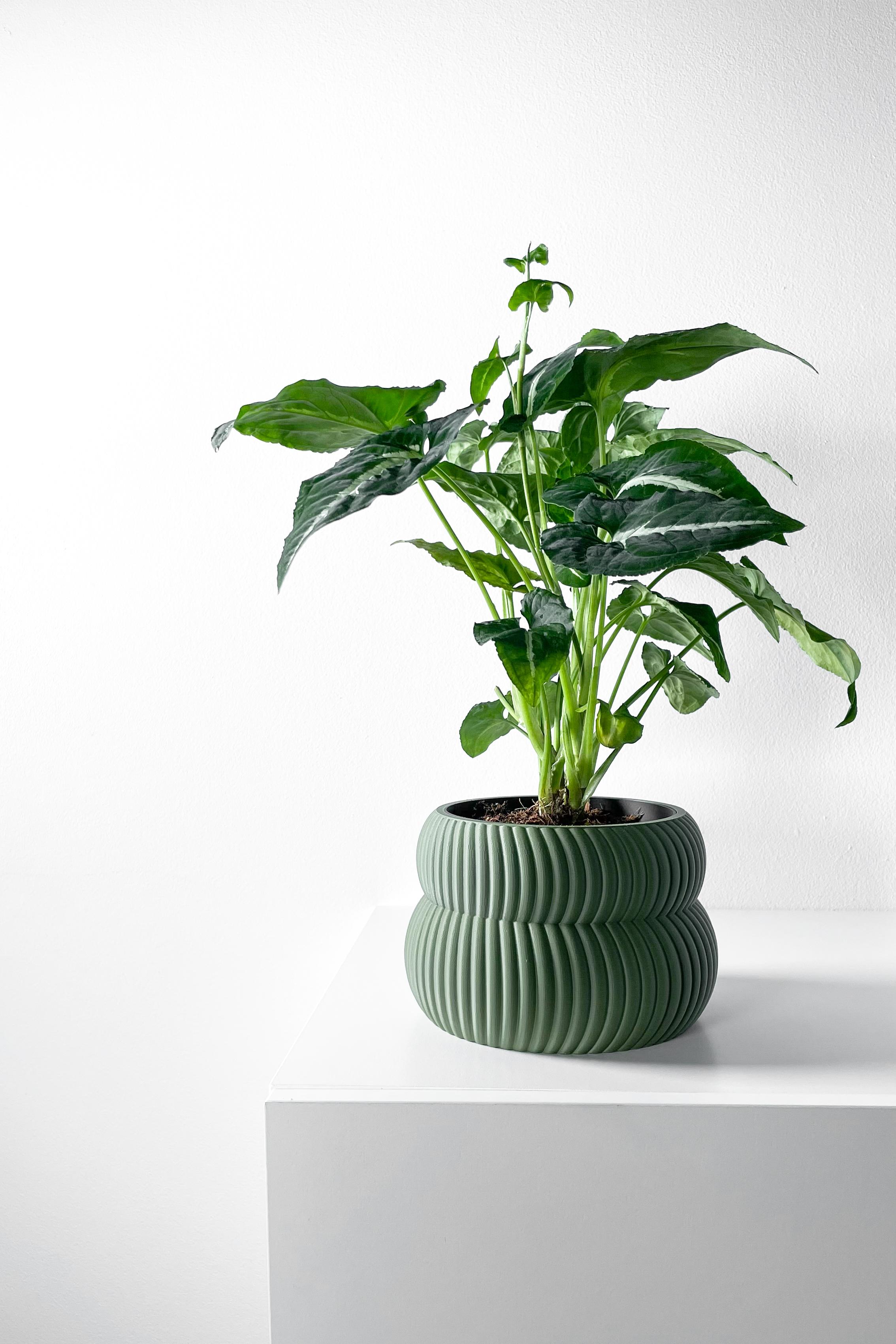 The Quarn Planter Pot with Drainage Tray & Stand Included | Modern and Unique Home Decor 3d model