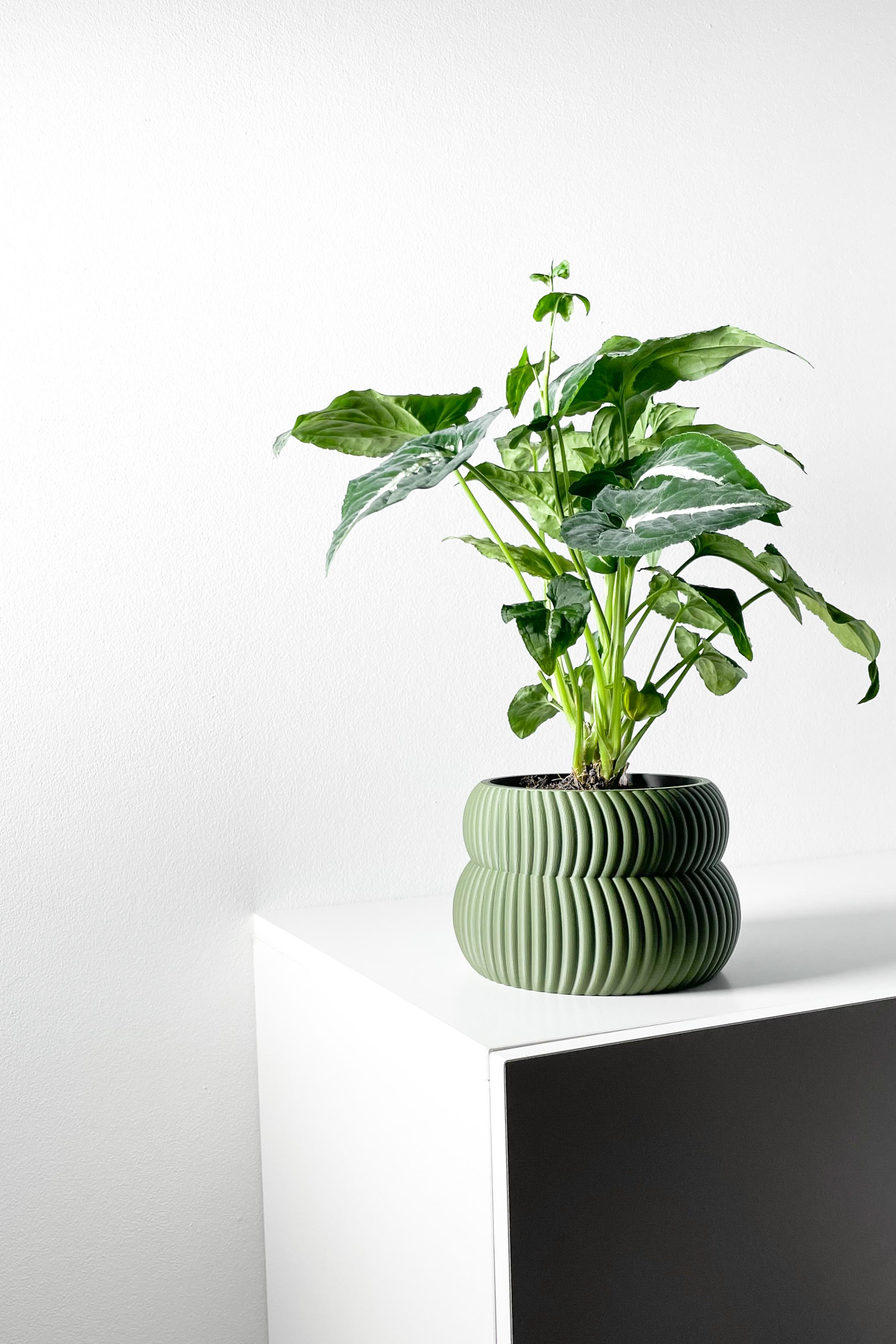 The Quarn Planter Pot with Drainage Tray & Stand Included | Modern and Unique Home Decor 3d model