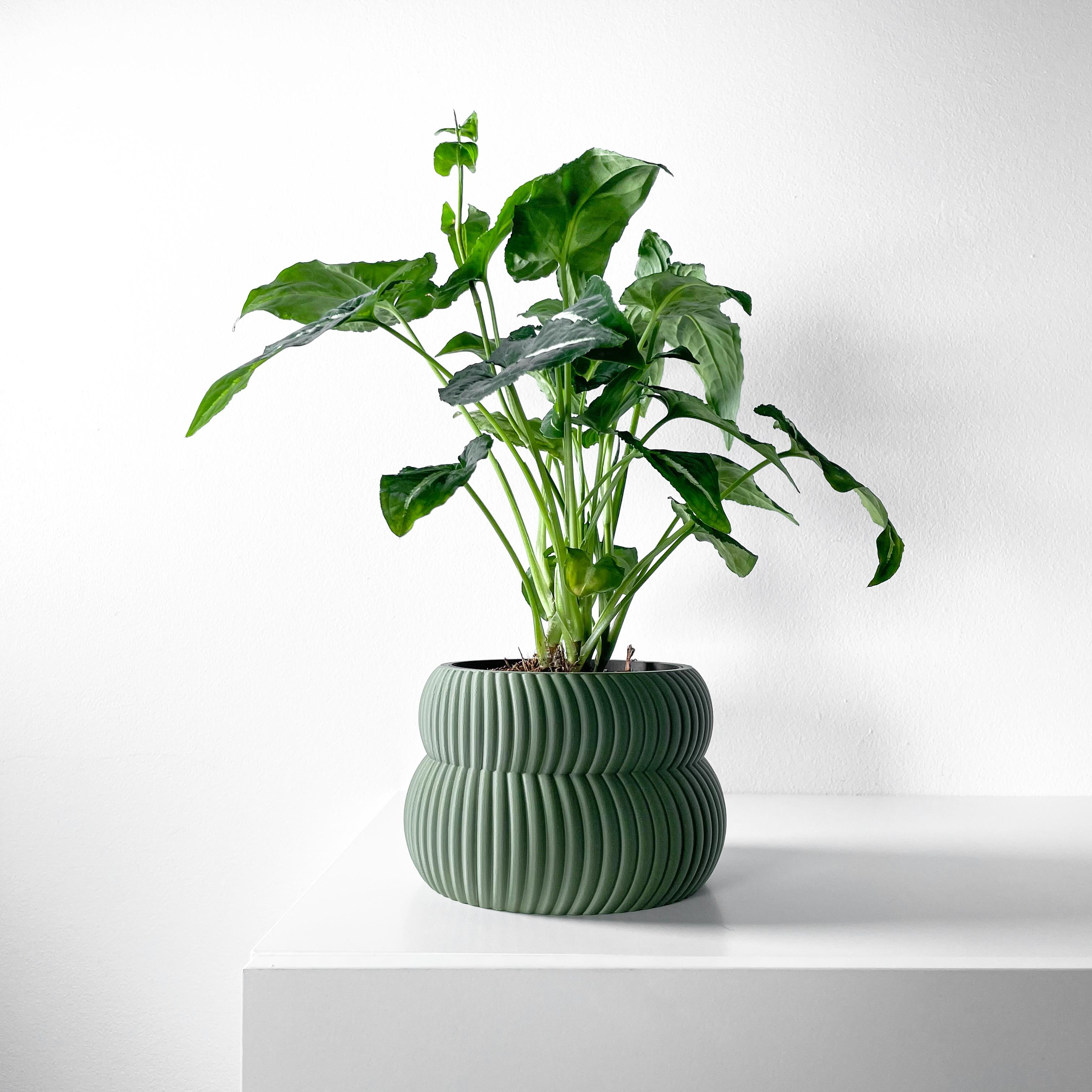 The Quarn Planter Pot with Drainage Tray & Stand Included | Modern and Unique Home Decor 3d model