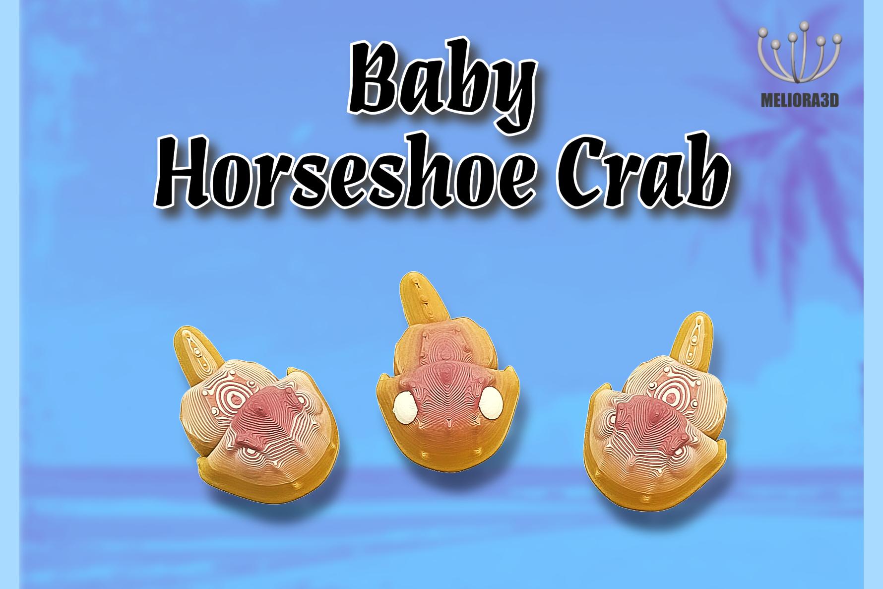 M3D - Baby Horseshoe Crab 3d model