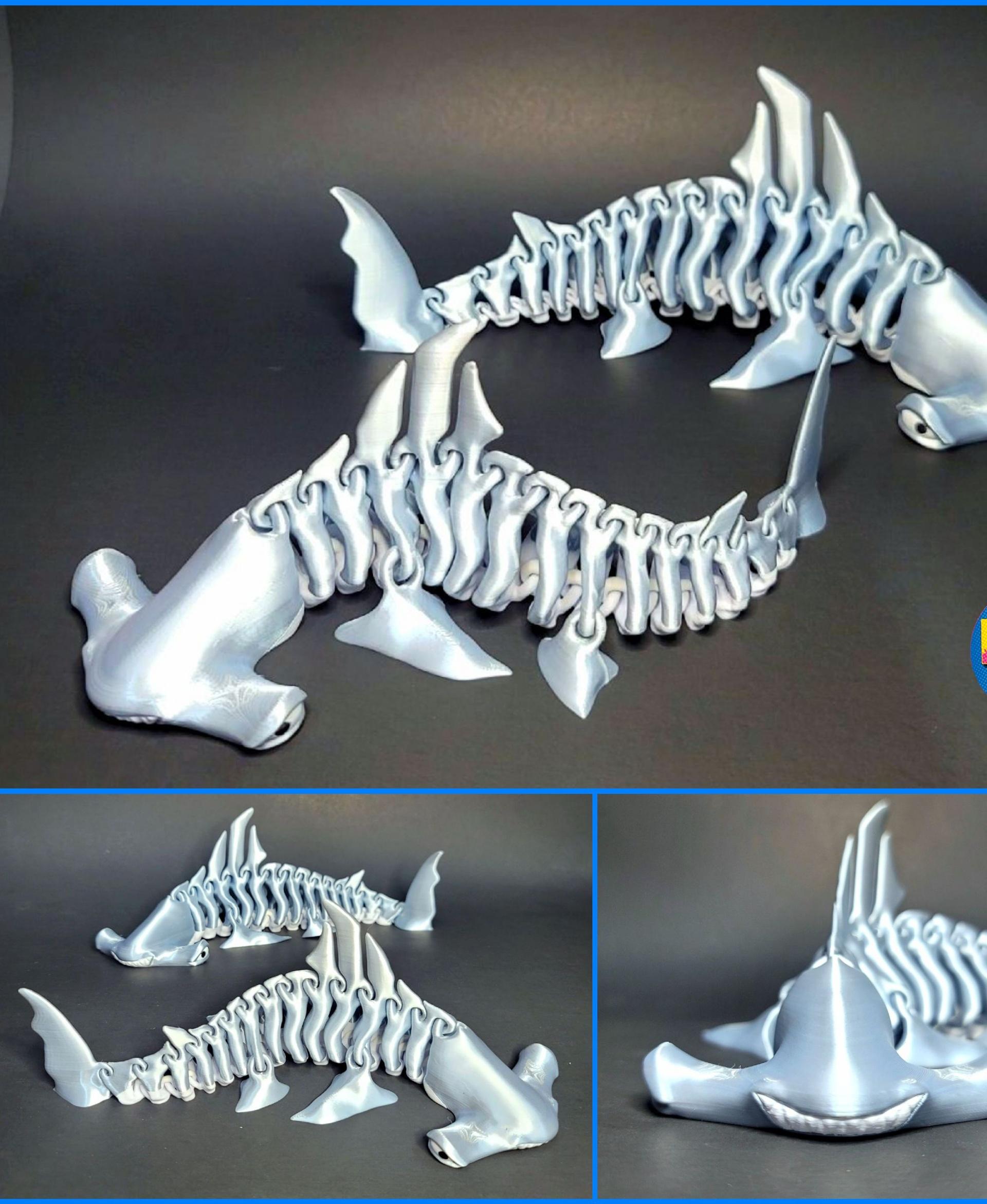 Hammerhead  Shark  Bones 3d model