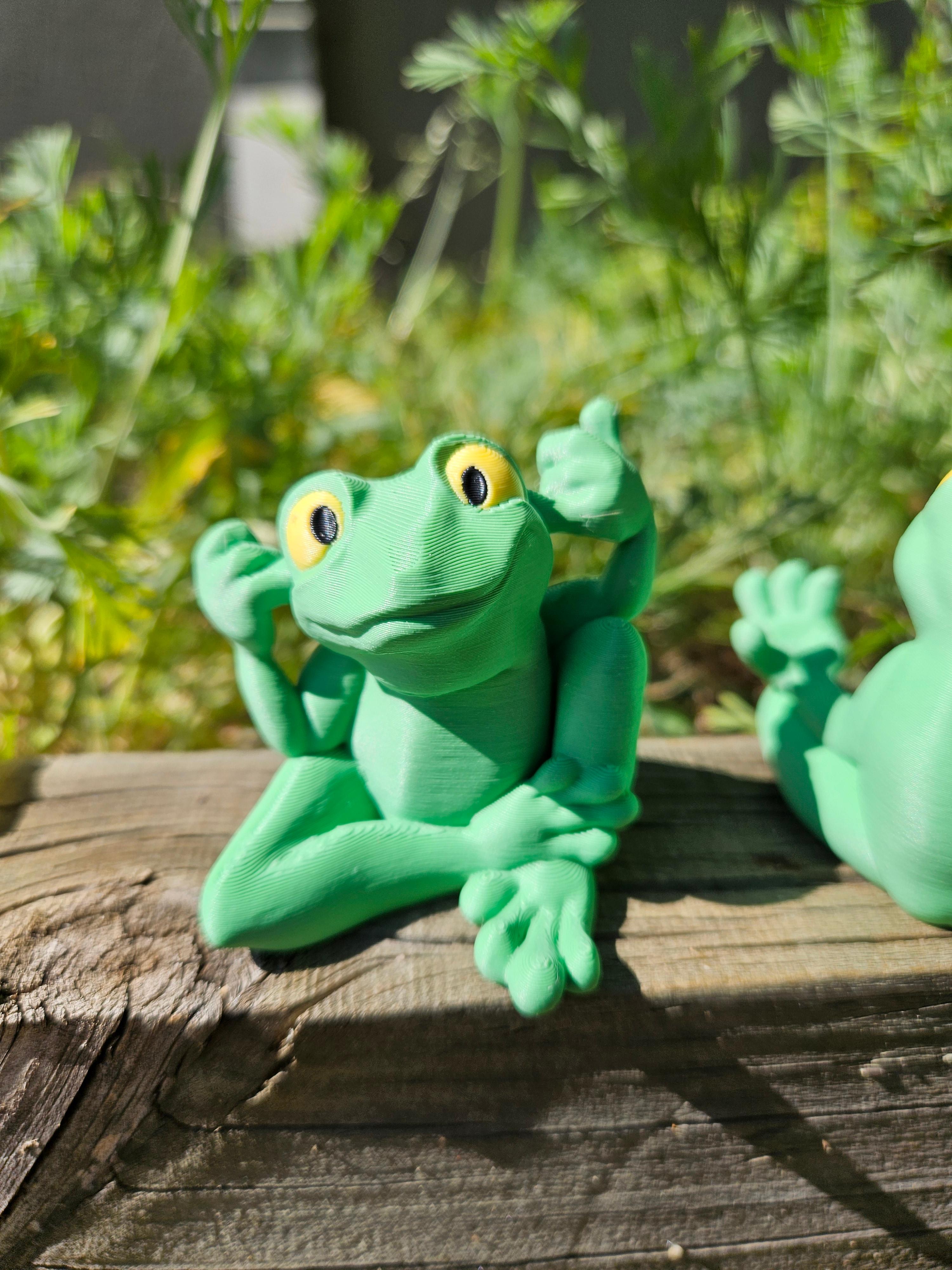 Hear No Evil Frog 3d model