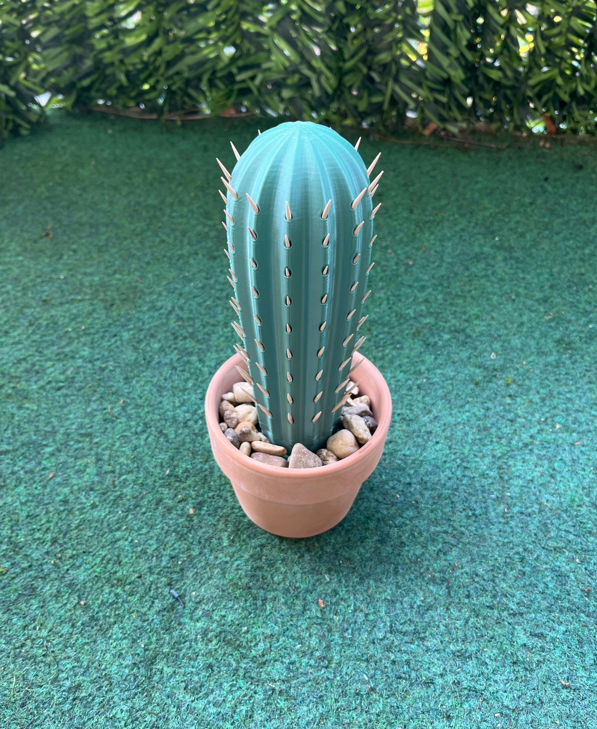 Cactus Toothpick holder 3d model