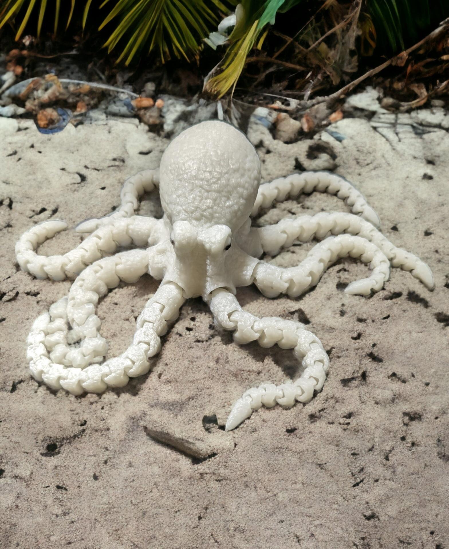 Octopus 2.0 3d model