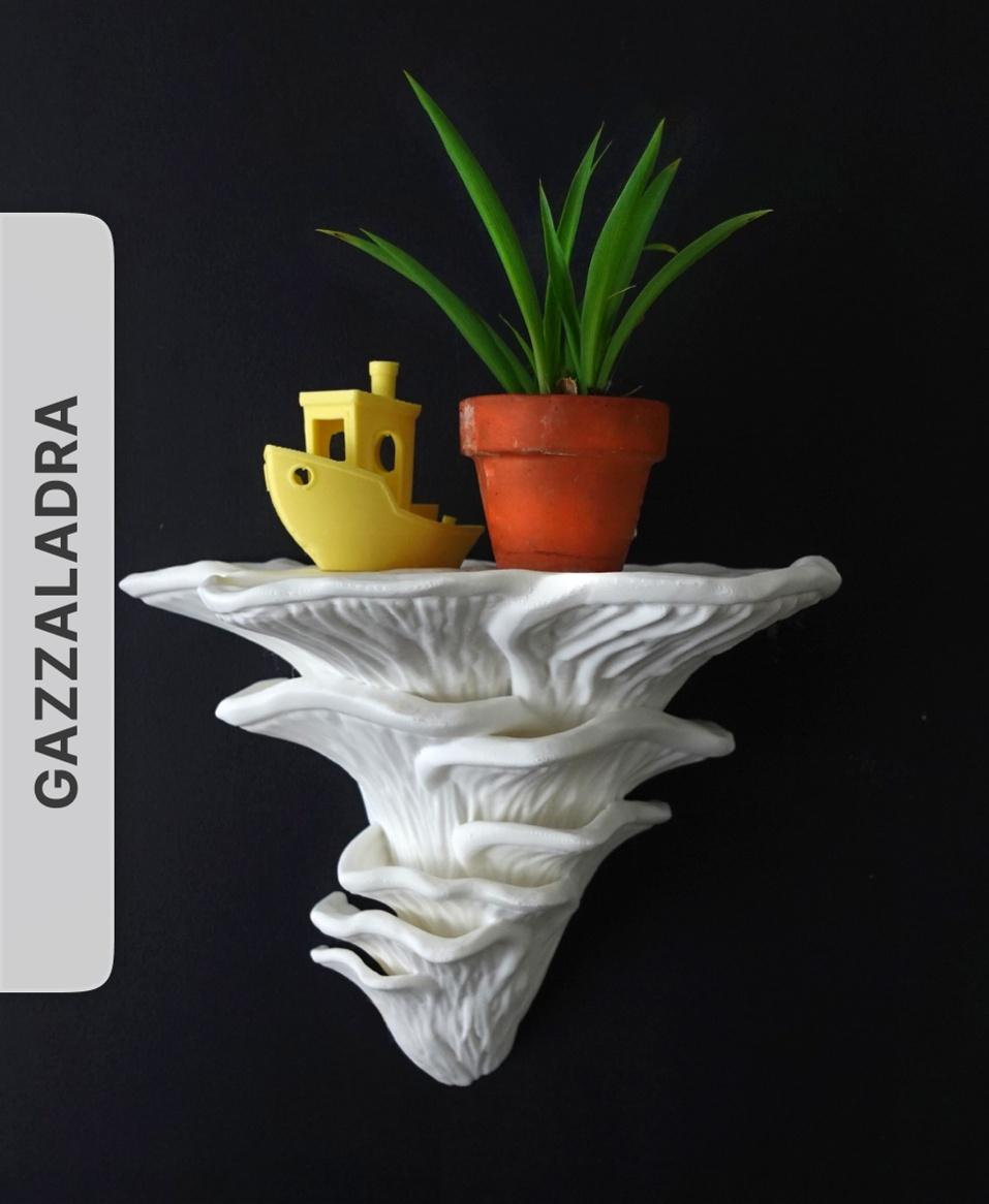 Wall shelf “Djamor Fungus” by gazzaladra 3d model