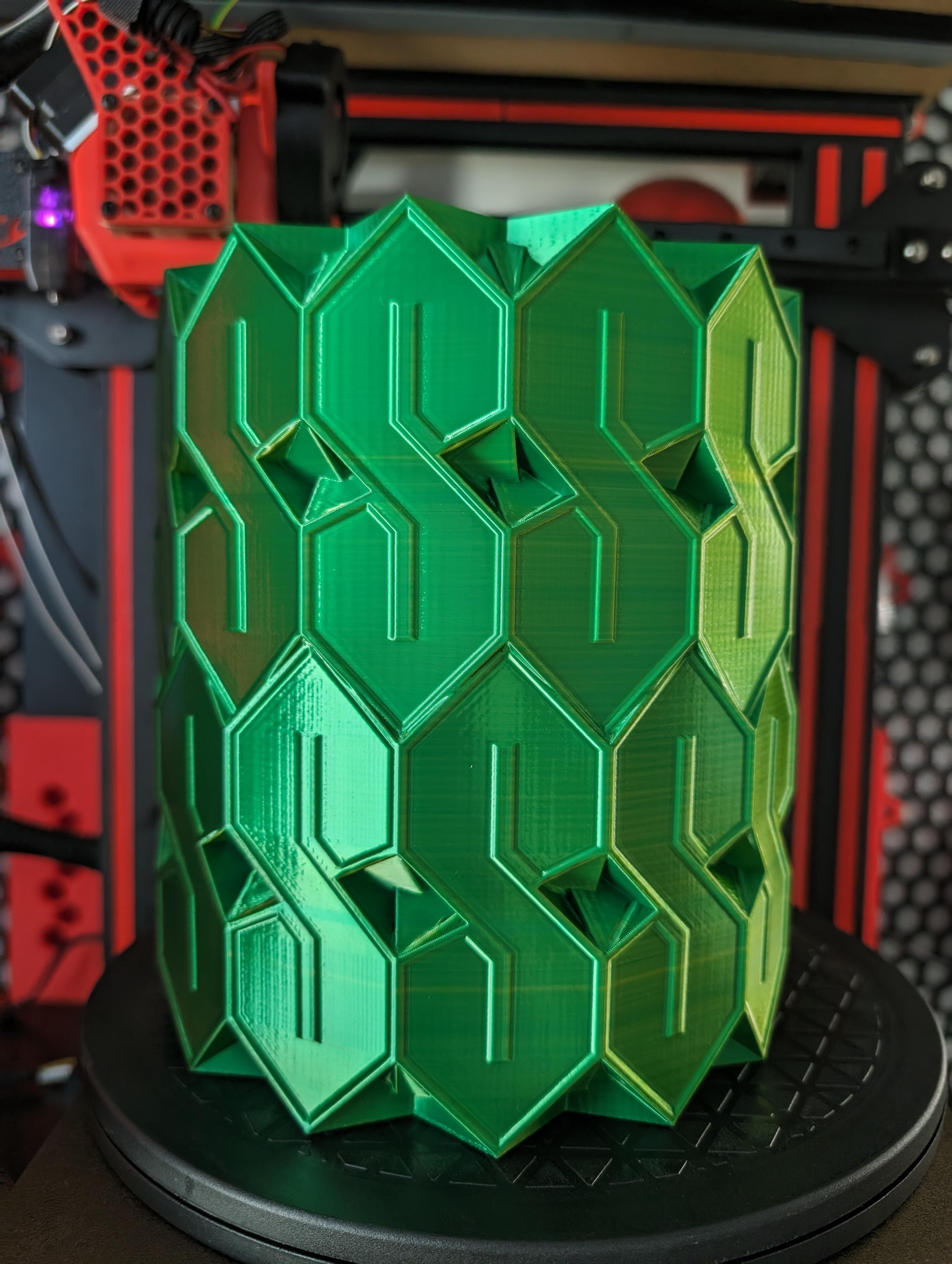 Cool S Vase - 2 Layer V2.stl 3d model