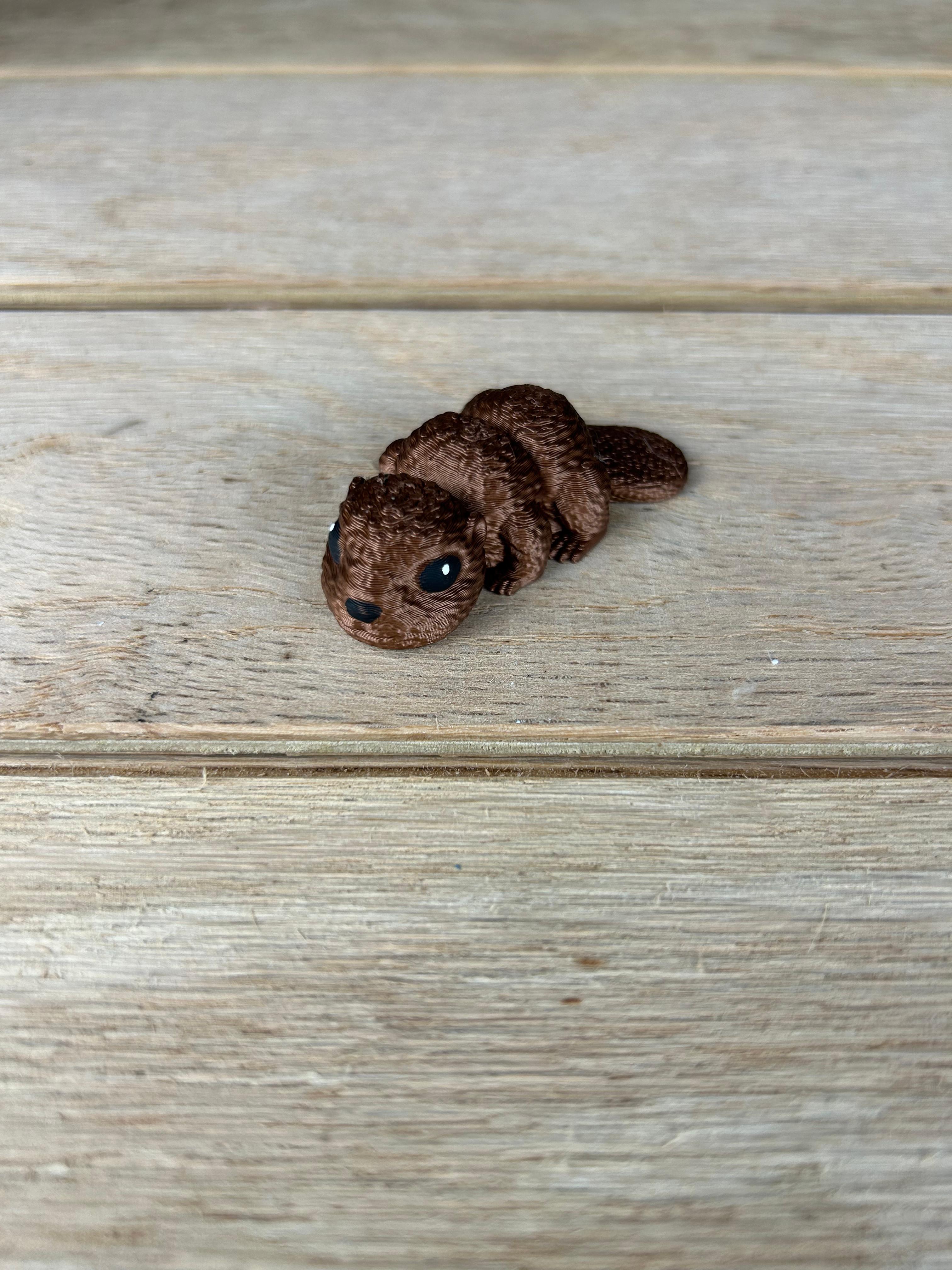 Baby Beaver Fidget 3d model