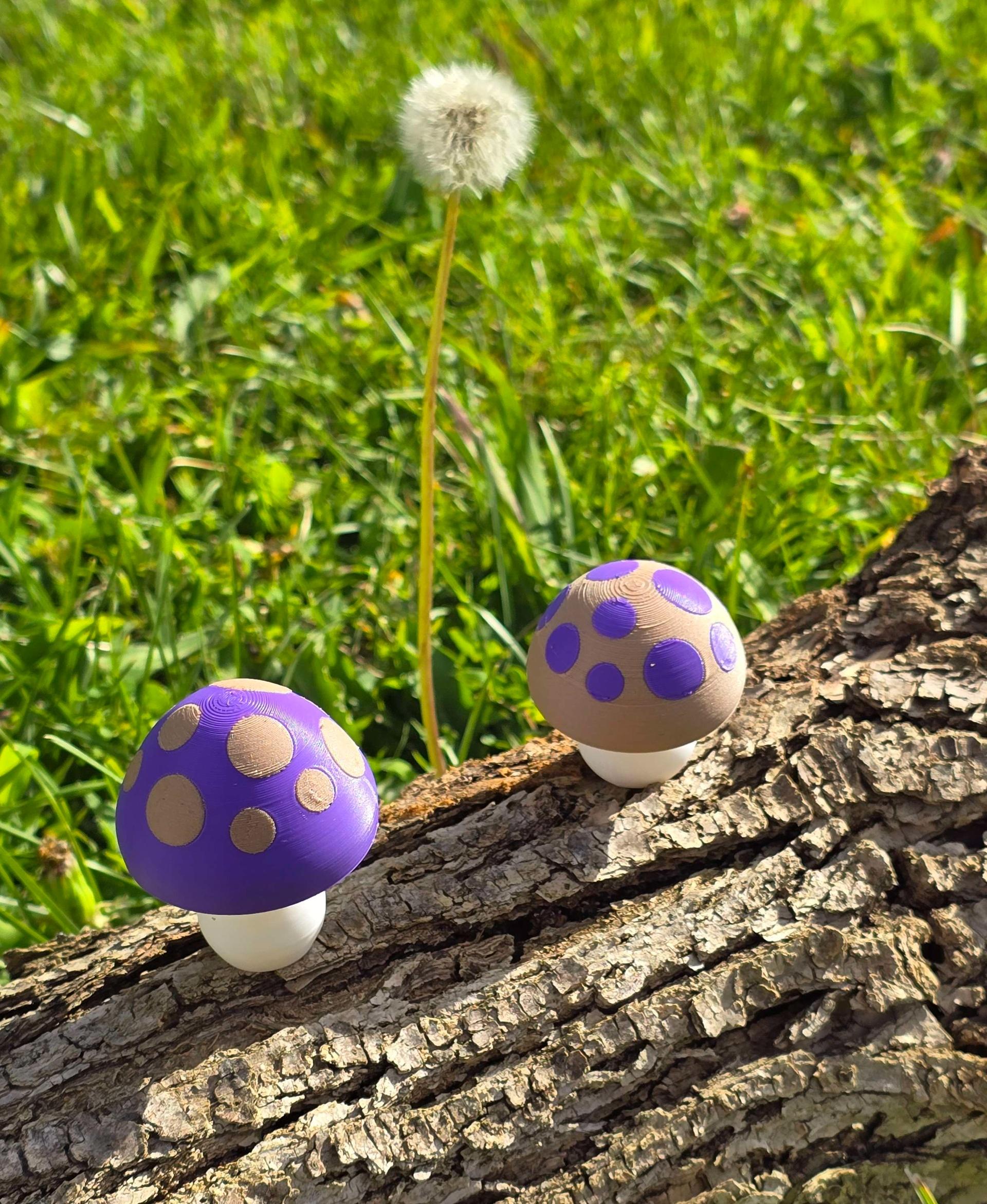 Squishy Mushrooms (2 sizes) 3d model