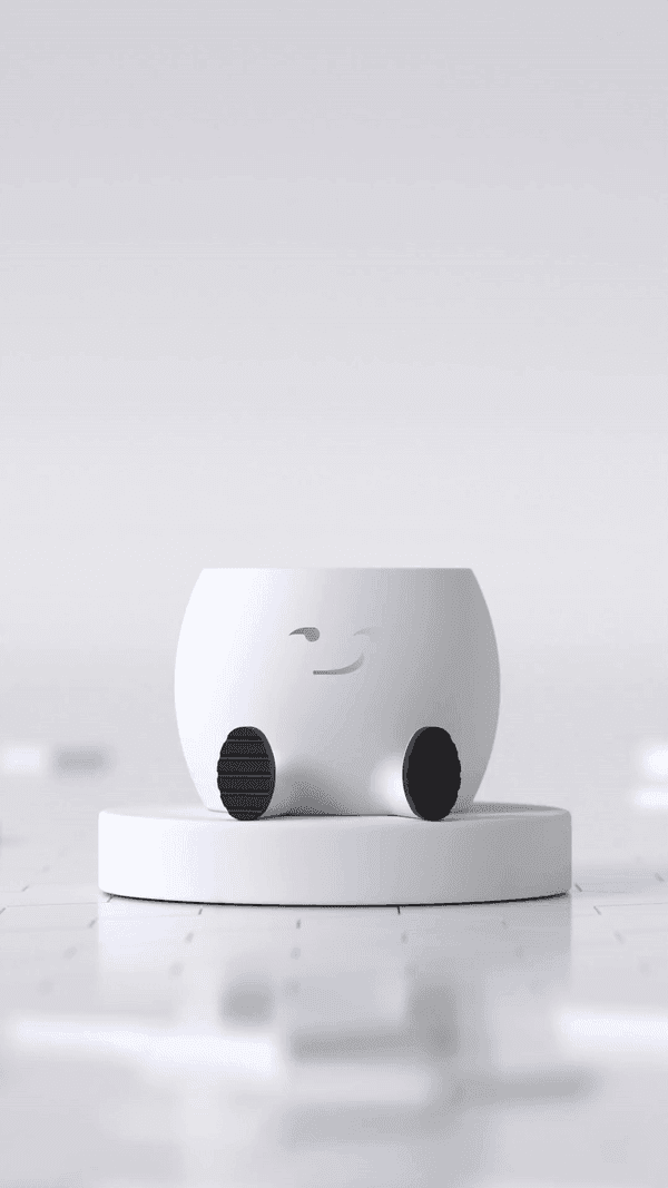 The Smirky Planter 3d model