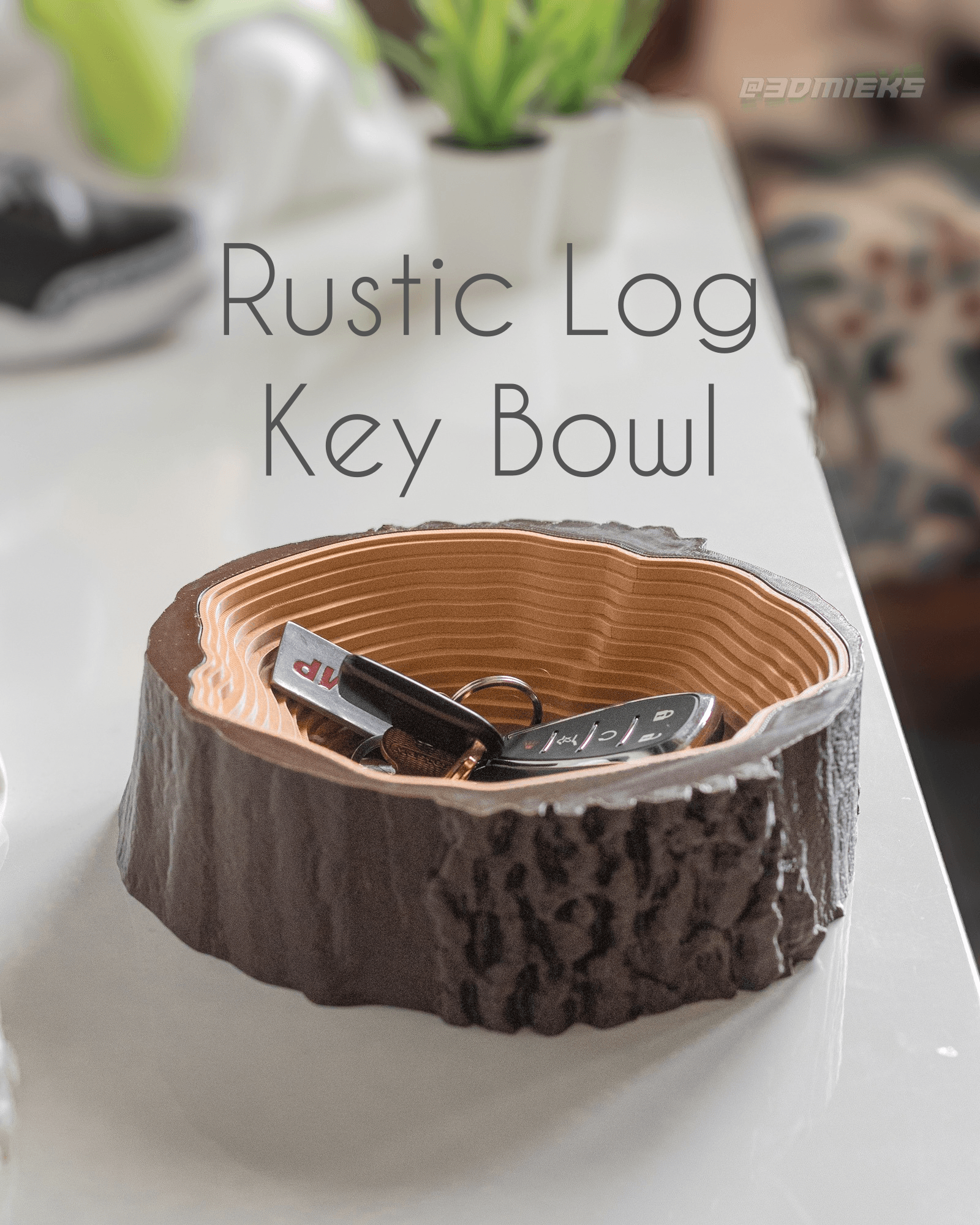 Rustic Log Key Bowl 3d model