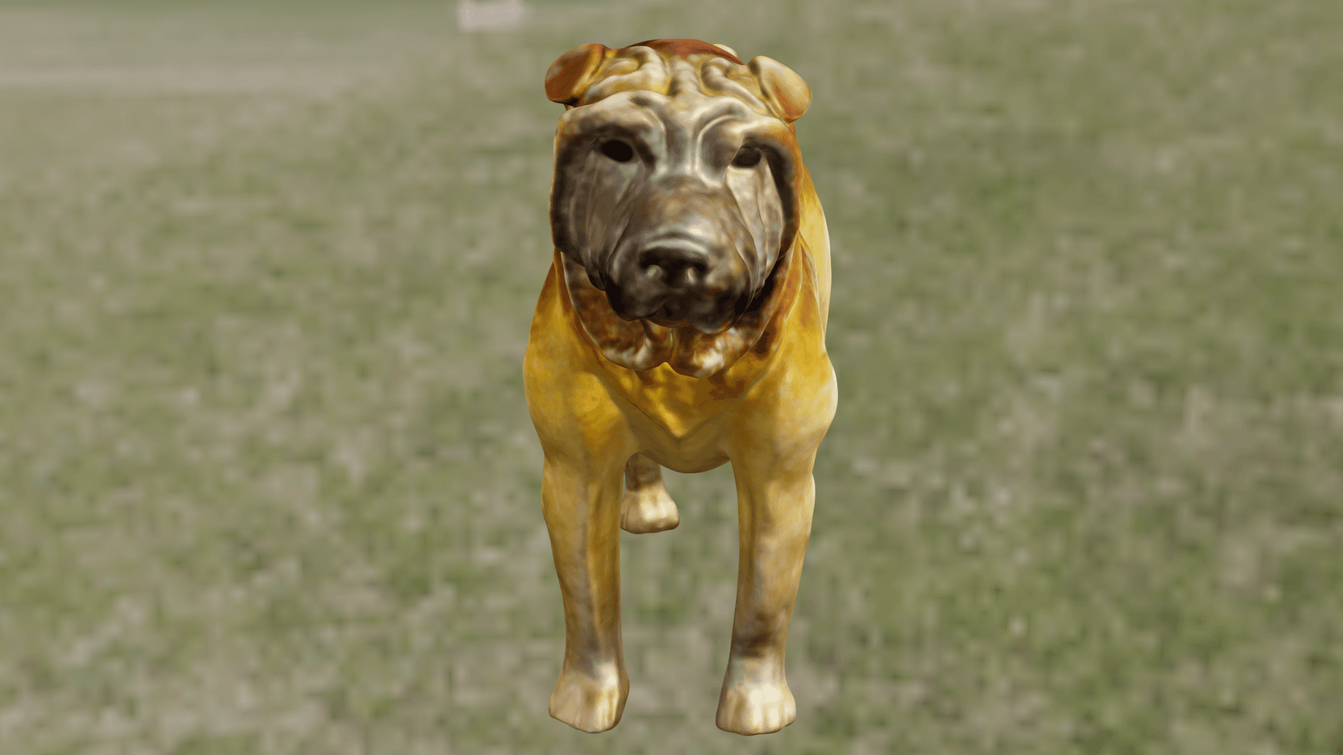 Shar-Peï 3d model