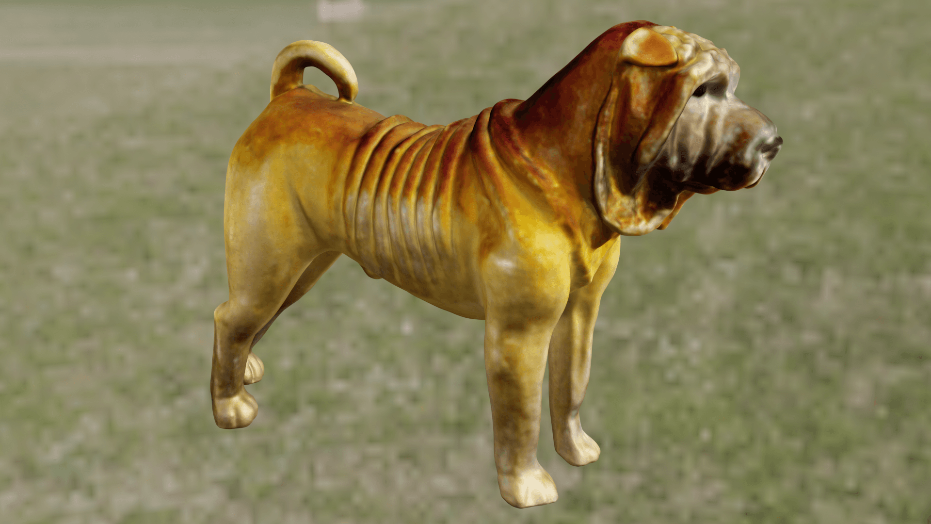 Shar-Peï 3d model