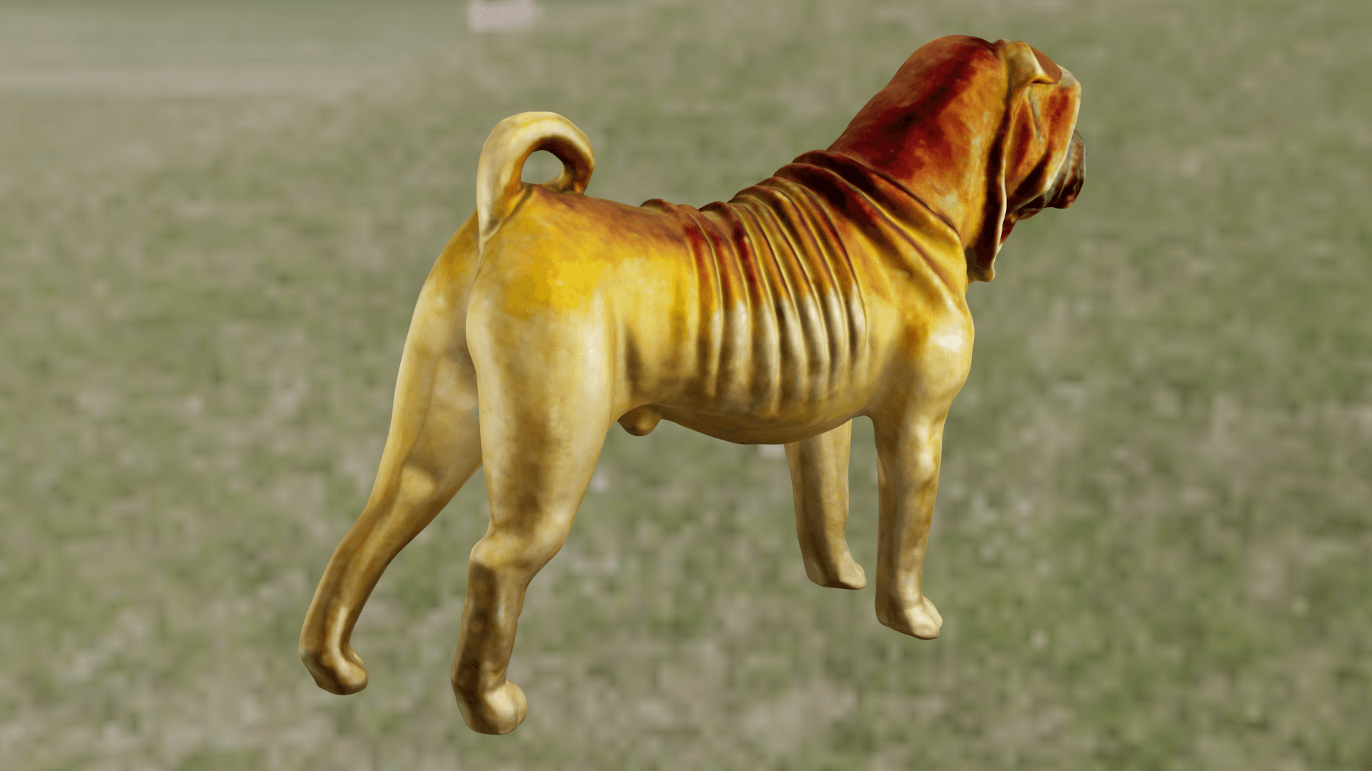 Shar-Peï 3d model