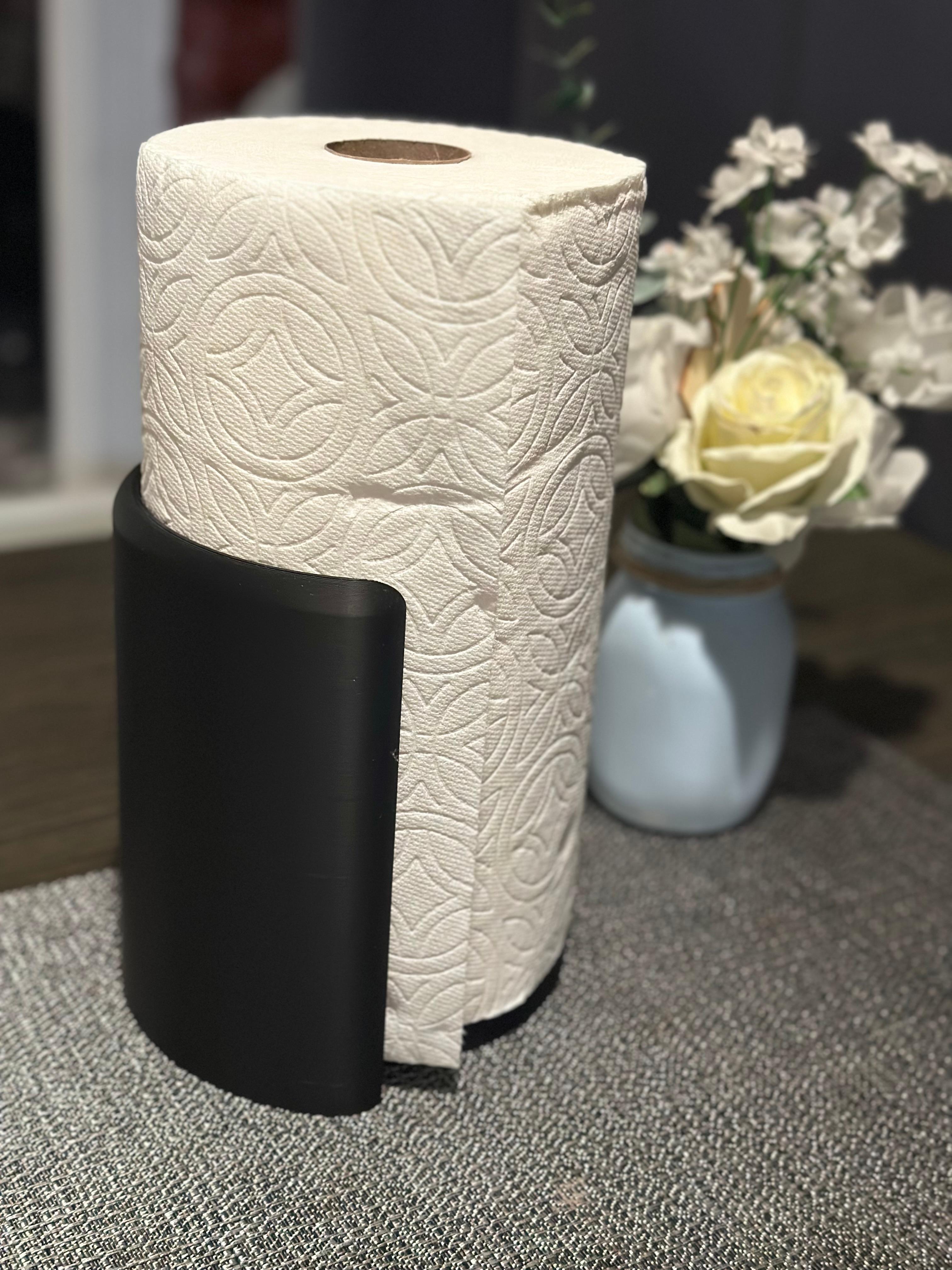 Paper Towel Holder 3d model