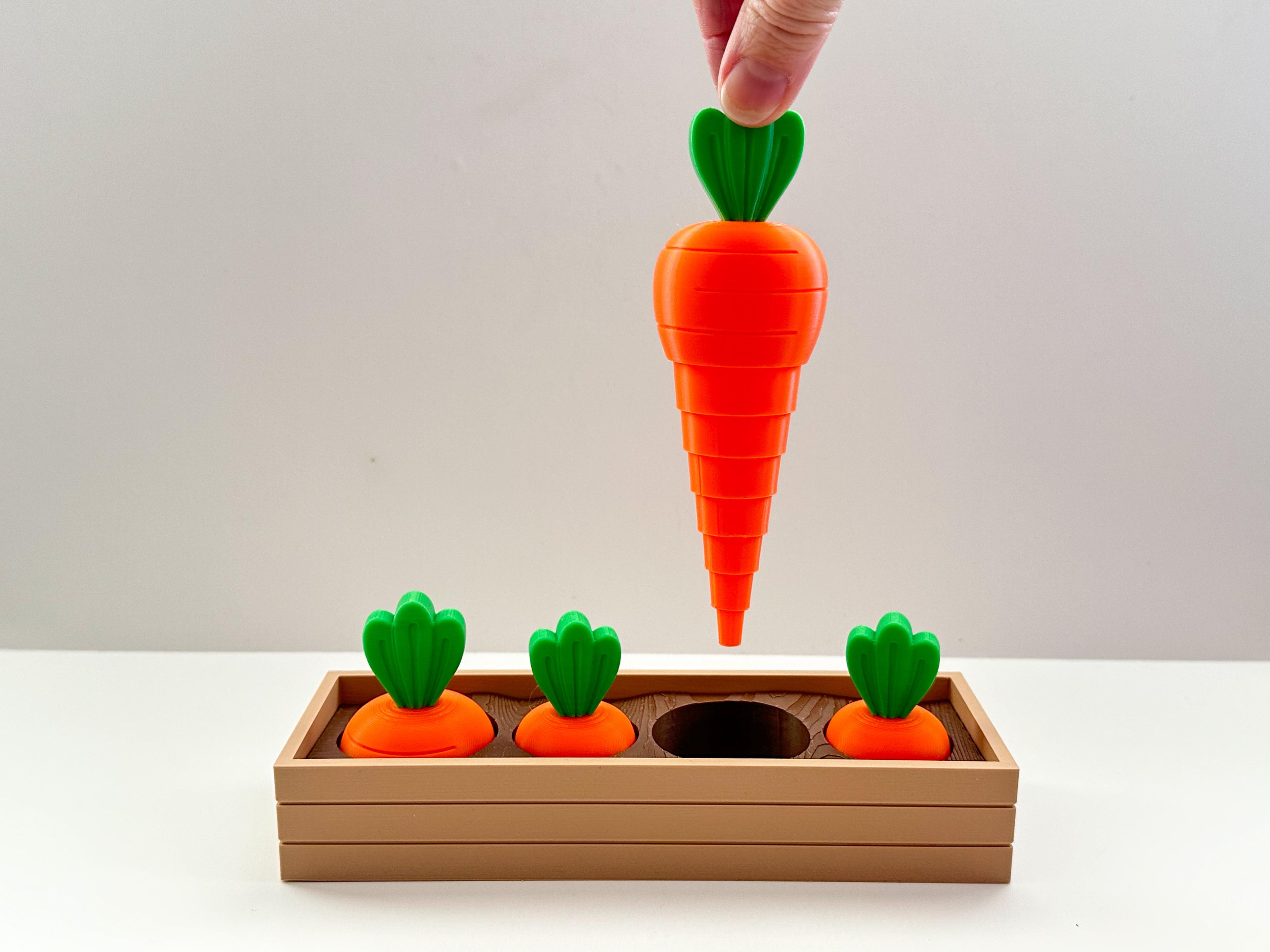 Carrot Garden (2 sizes) 3d model