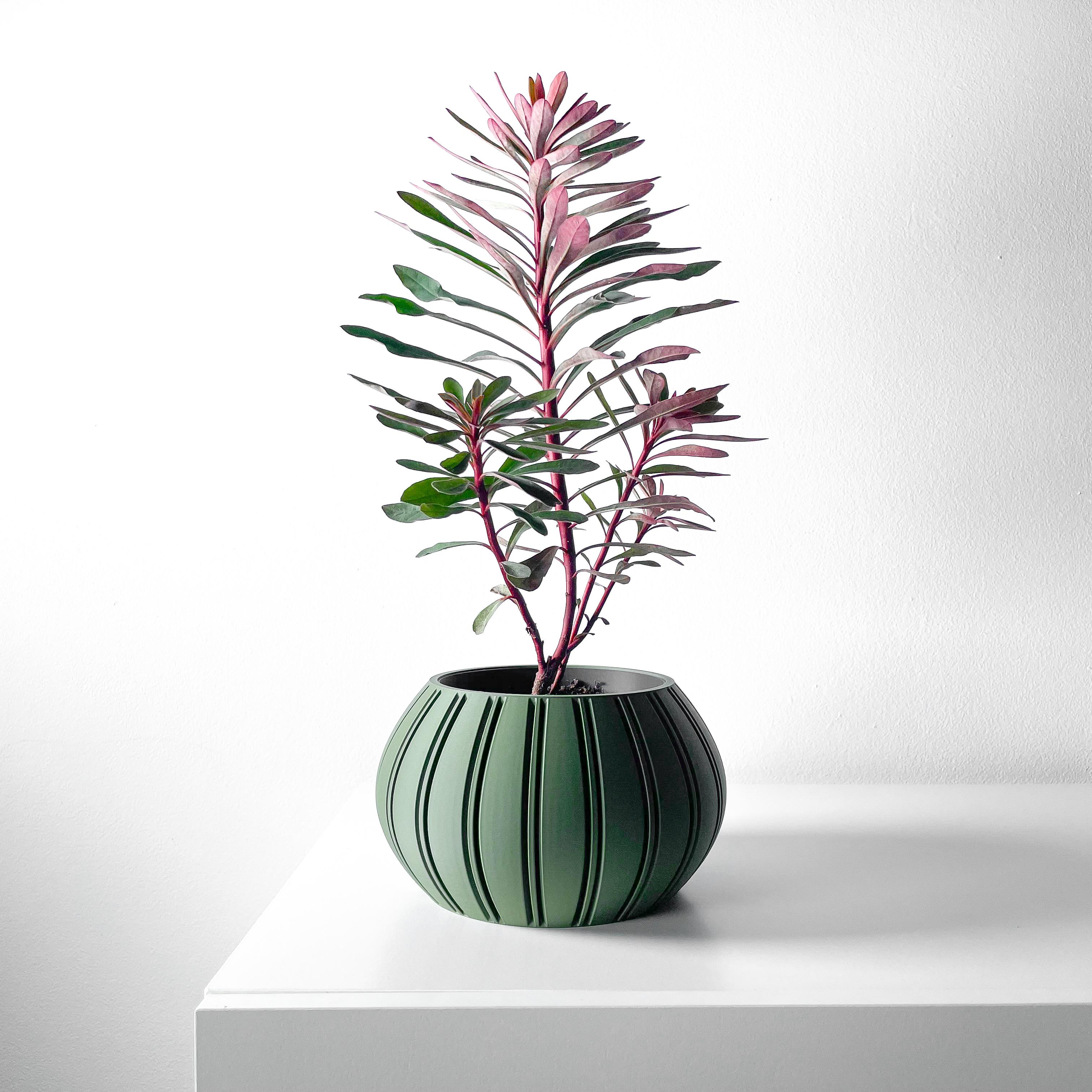 The Ovire Planter Pot with Drainage Tray & Stand Included | Modern and Unique Home Decor 3d model