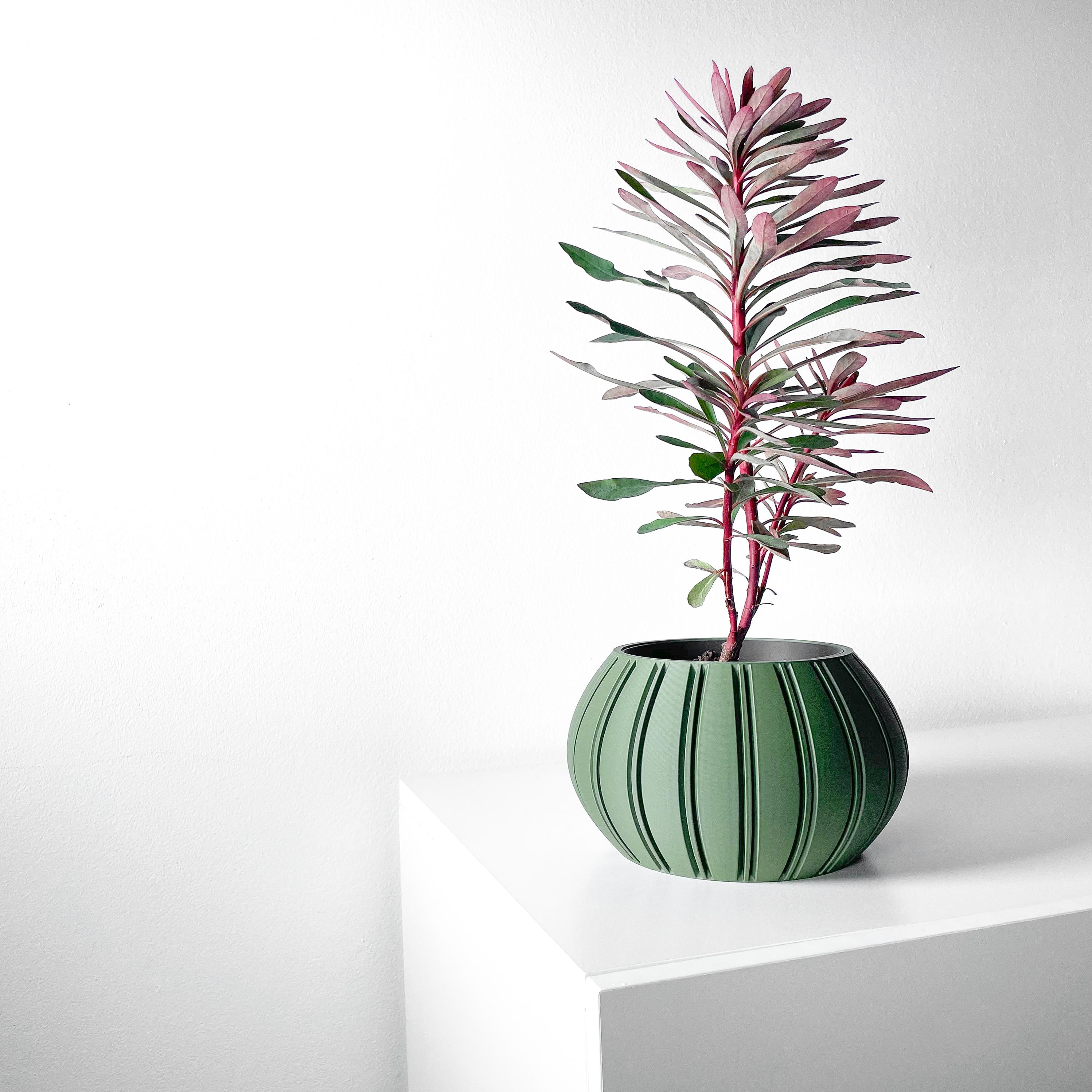 The Ovire Planter Pot with Drainage Tray & Stand Included | Modern and Unique Home Decor 3d model