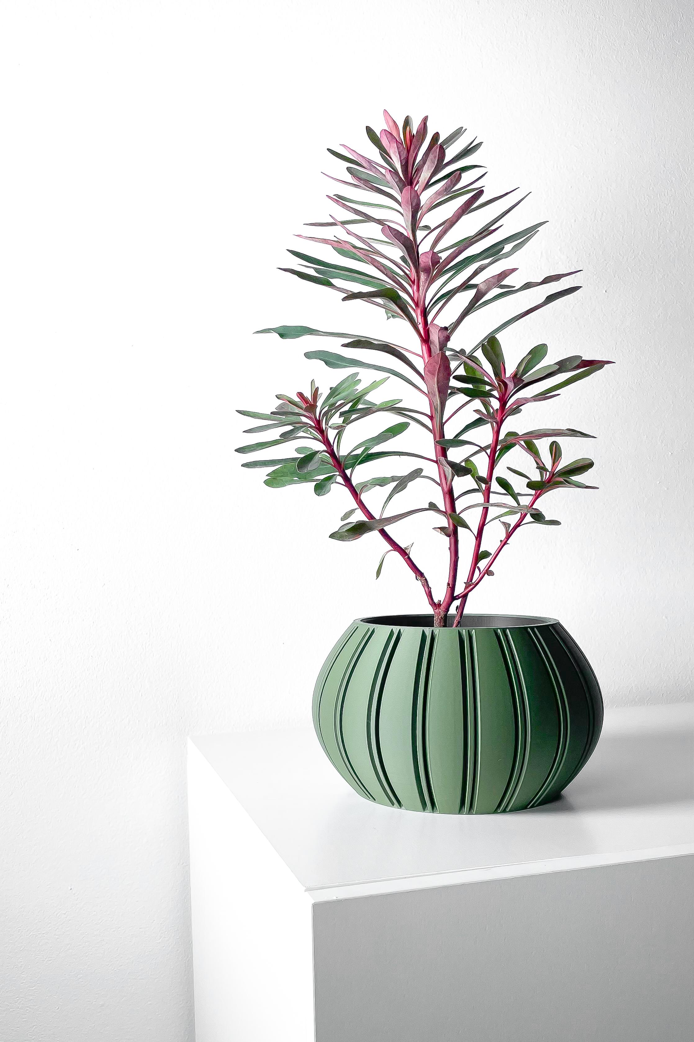 The Ovire Planter Pot with Drainage Tray & Stand Included | Modern and Unique Home Decor 3d model