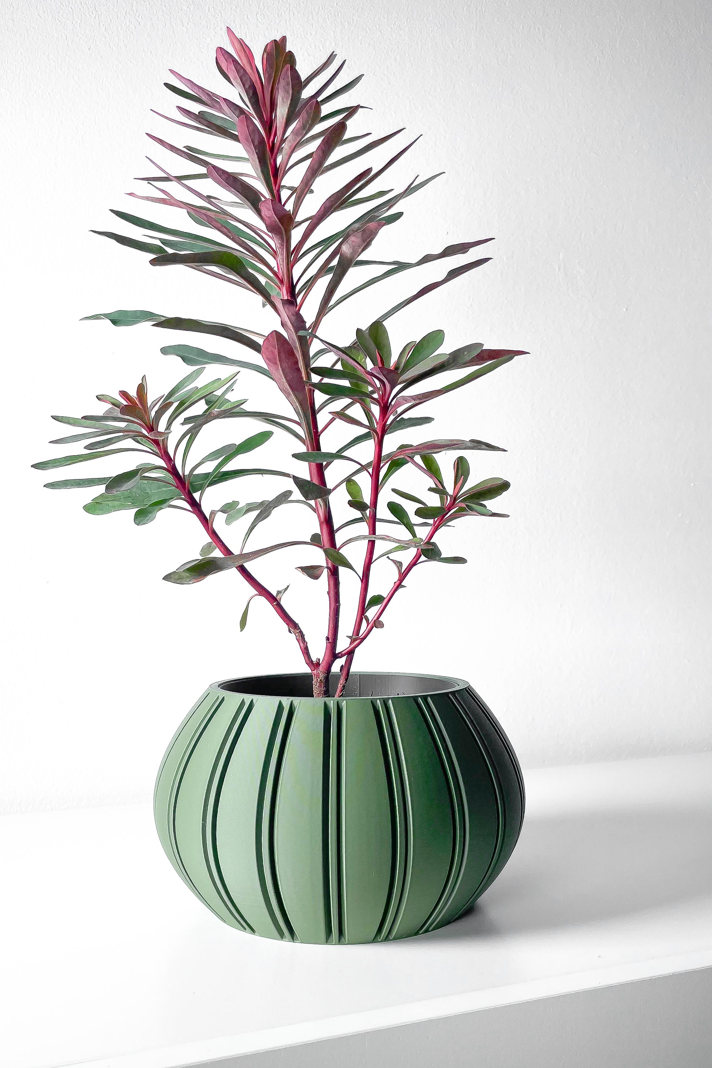 The Ovire Planter Pot with Drainage Tray & Stand Included | Modern and Unique Home Decor 3d model