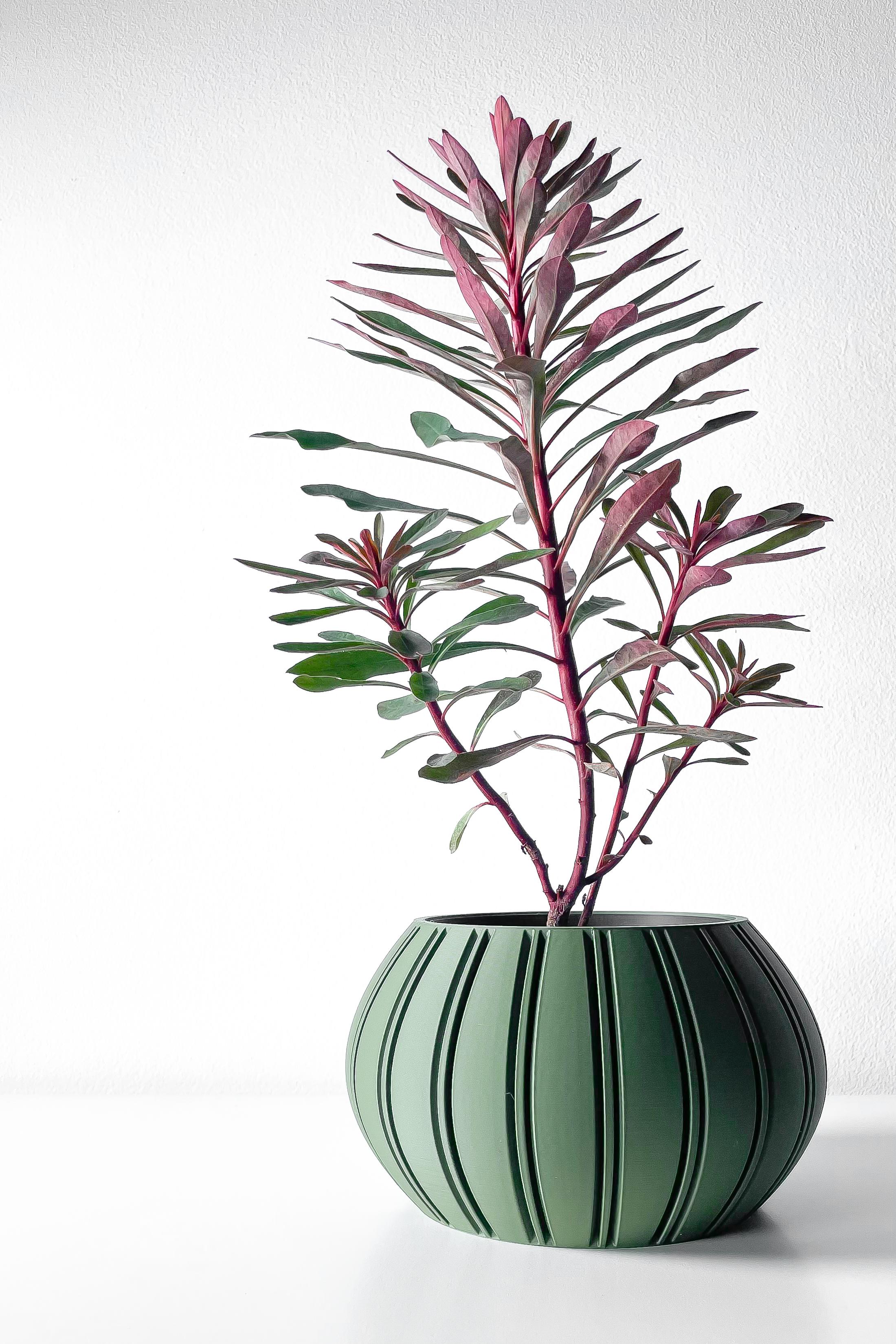 The Ovire Planter Pot with Drainage Tray & Stand Included | Modern and Unique Home Decor 3d model