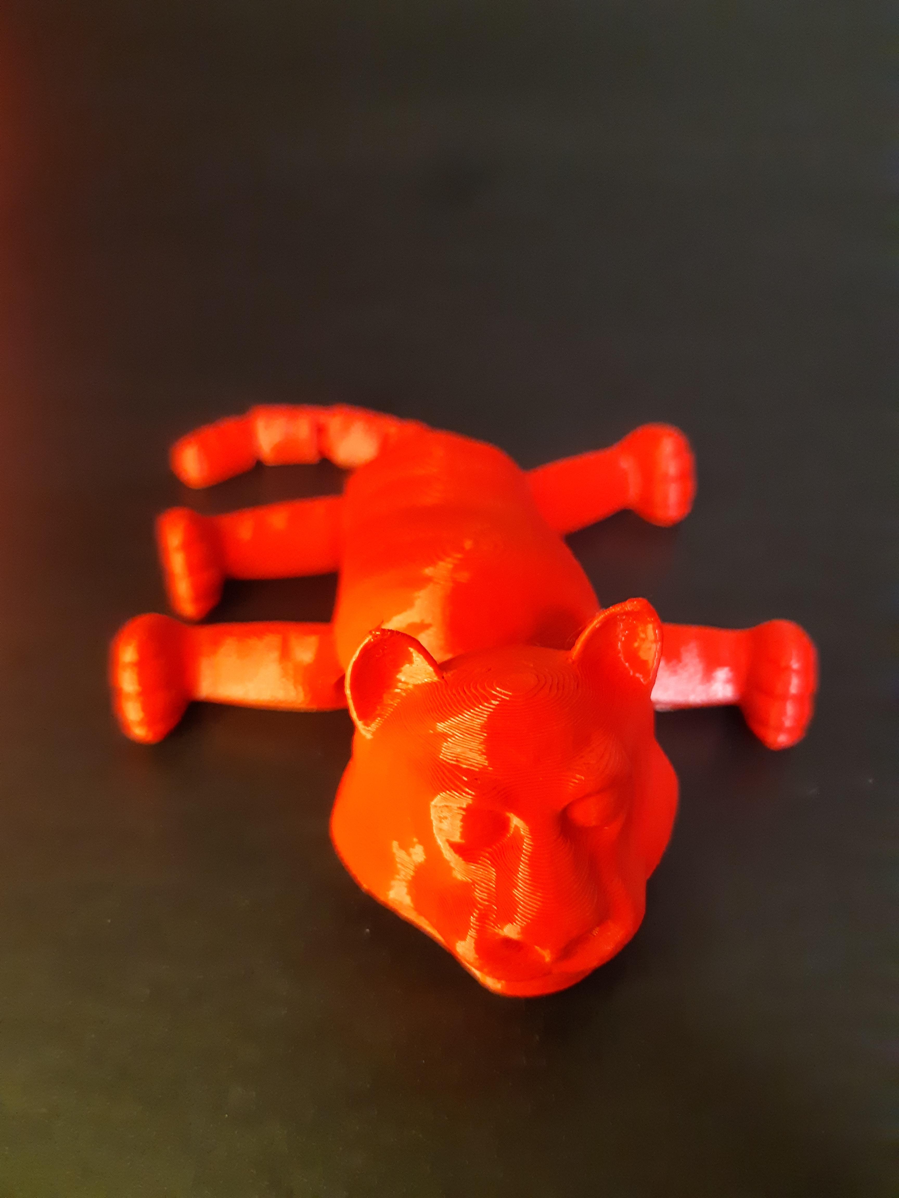 SIMPLE FLEXI TIGER- SUPPORT FREE - PRINT IN PLACE 3d model