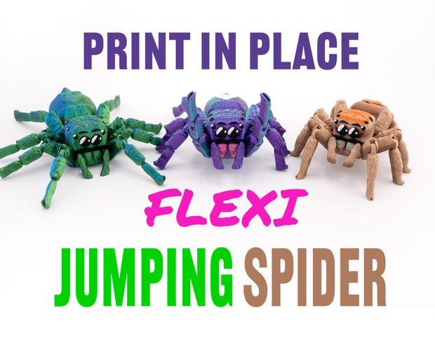 Flexi Jumping Spider 🕷 3d model