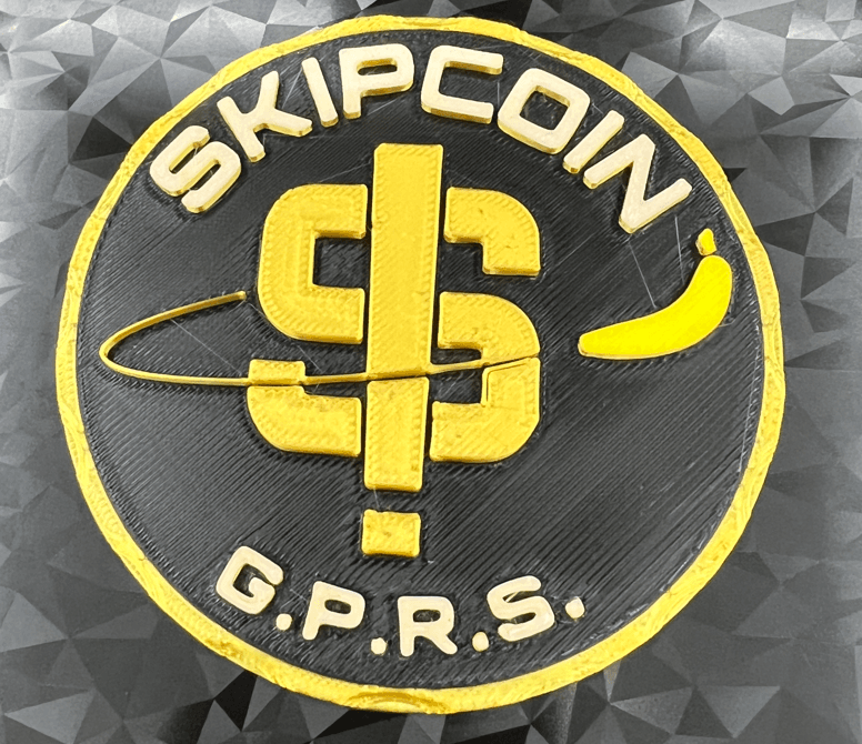 SkipCoin 3d model