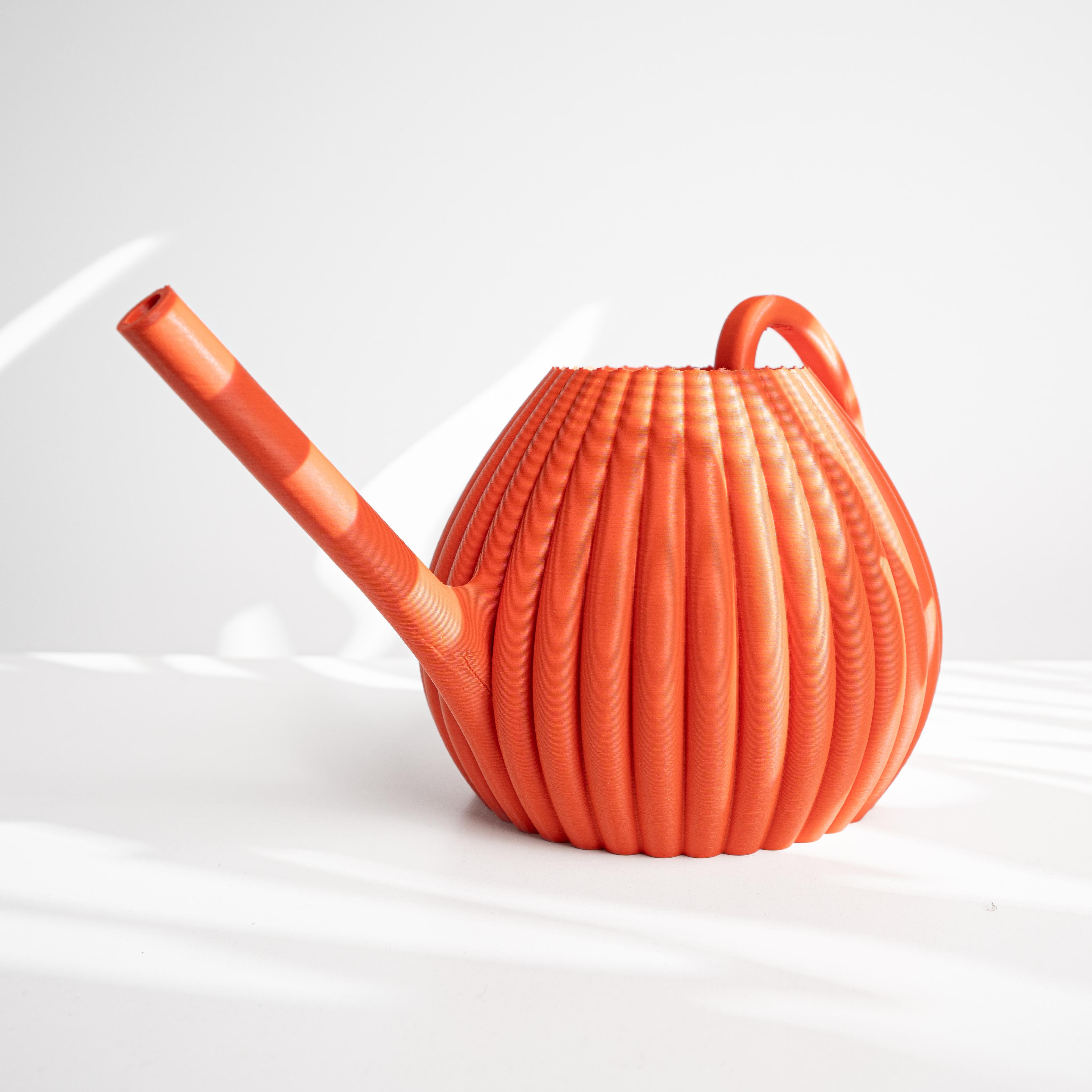 The Vason Watering Can for Houseplants, Flowers, and Succulents | Modern Home Decor for Plants 3d model