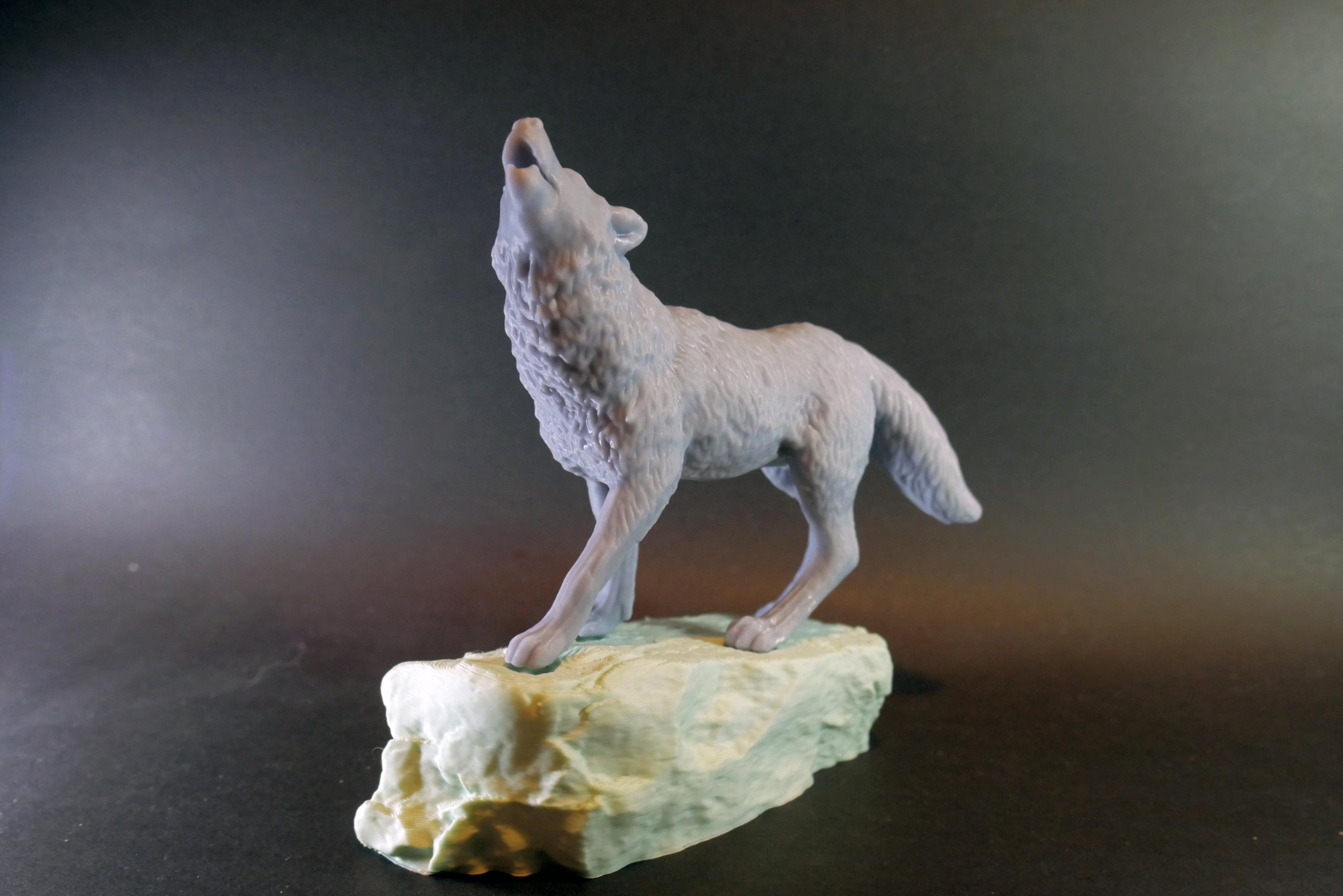 Howling Wolf 3d model