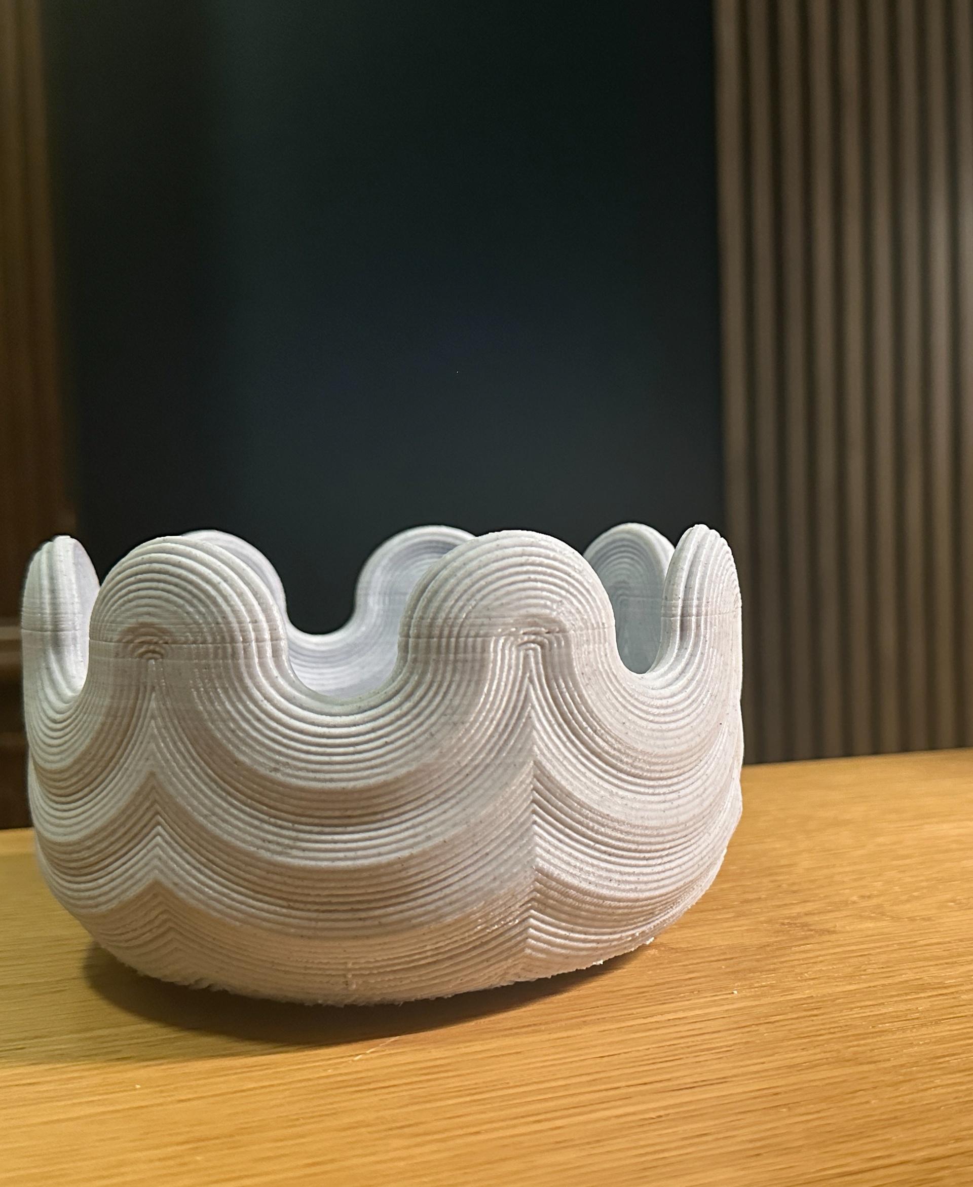 The Ripple ~ Decorative Bowl 3d model