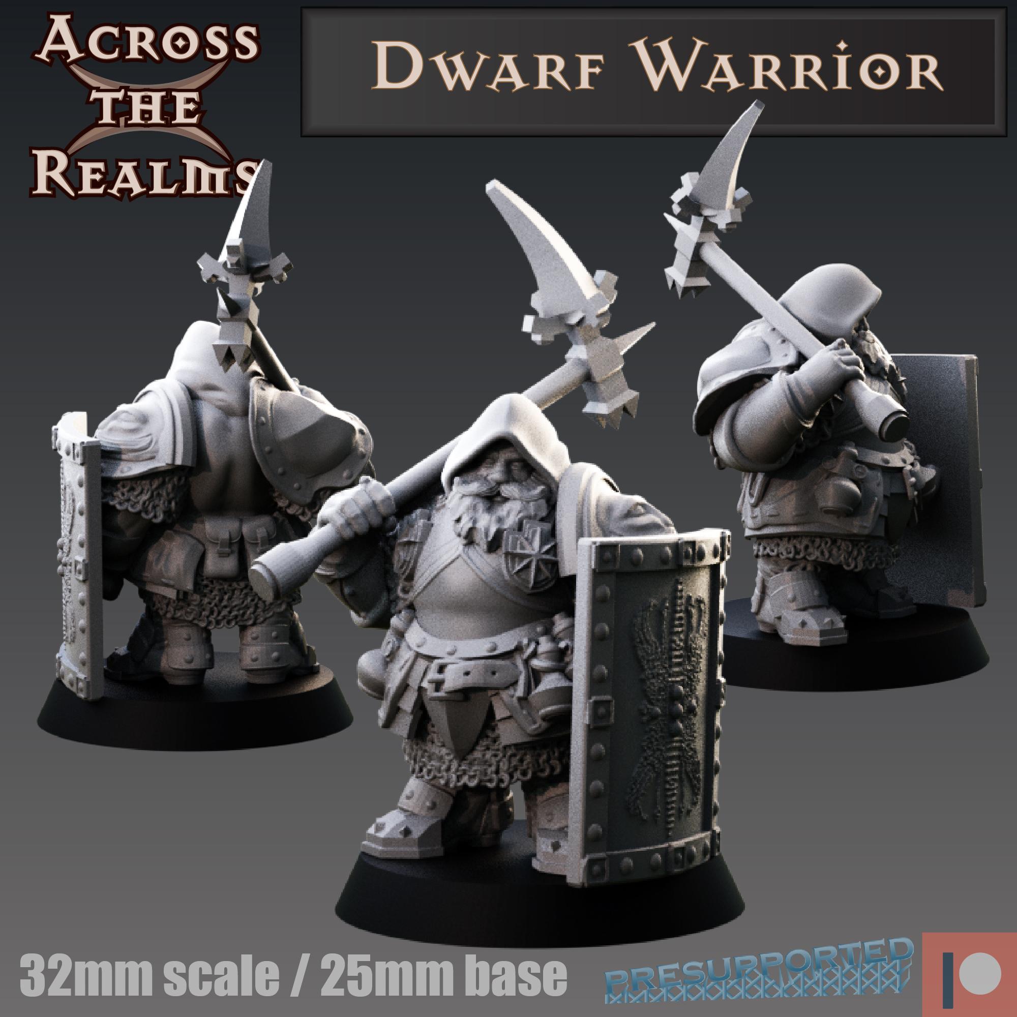 Dwarf Fighter 3d model