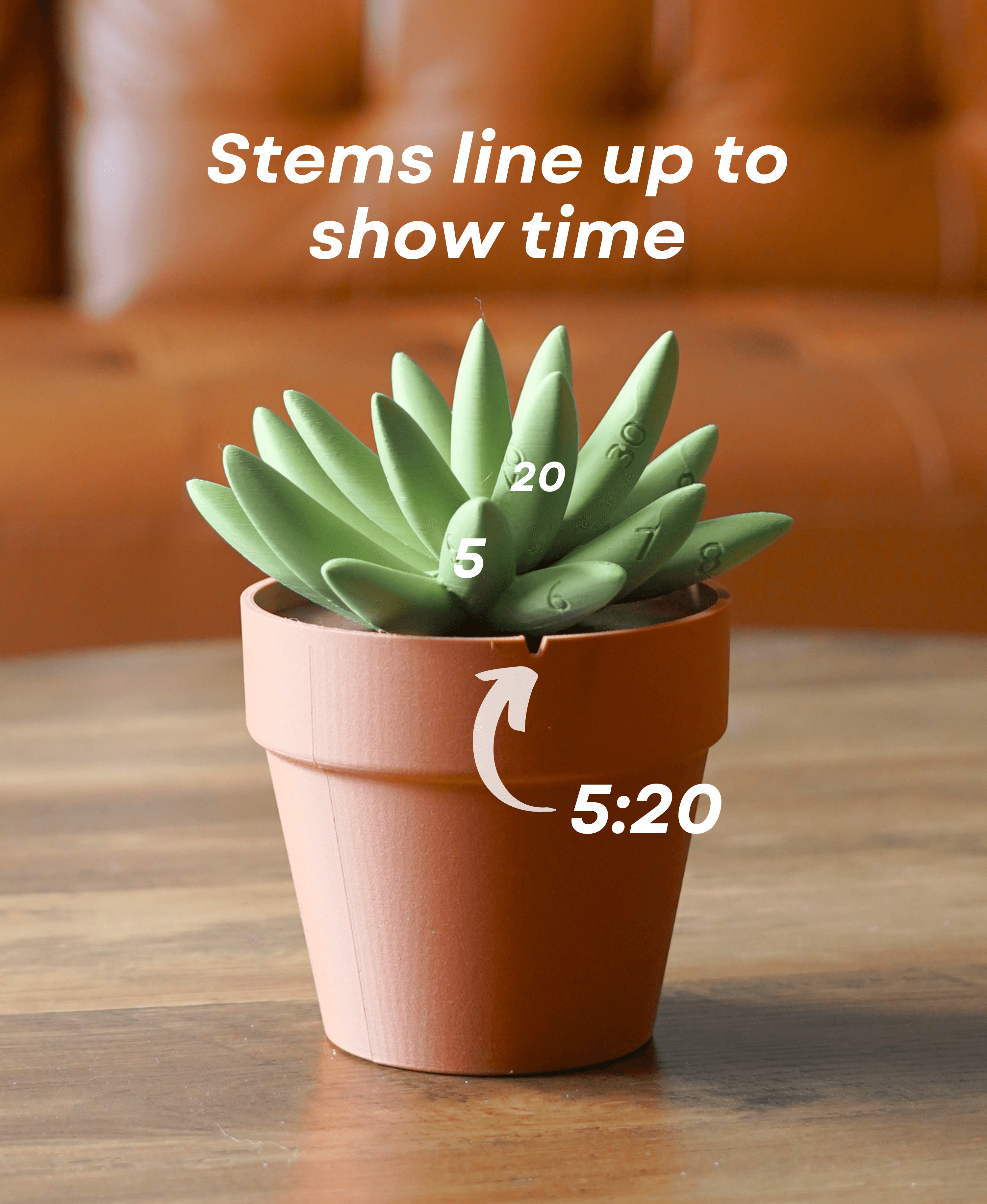 Succulent Clock 3d model