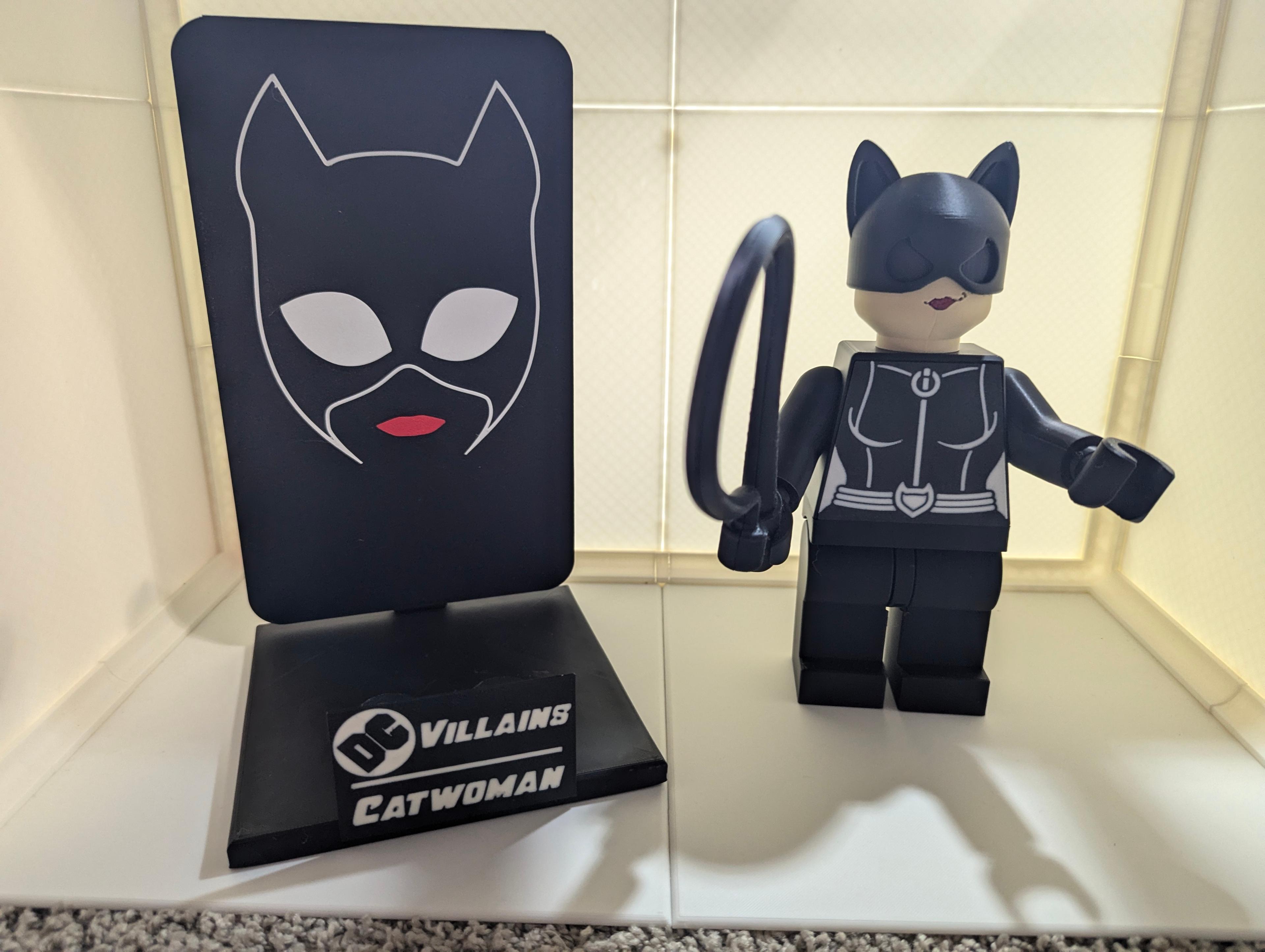 Catwoman Backer Plates 3d model