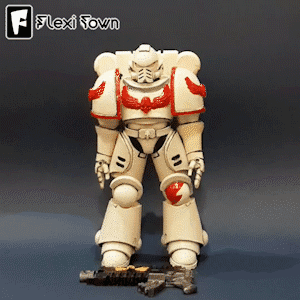 Flexi Print-in-Place Space Marine V1 3d model