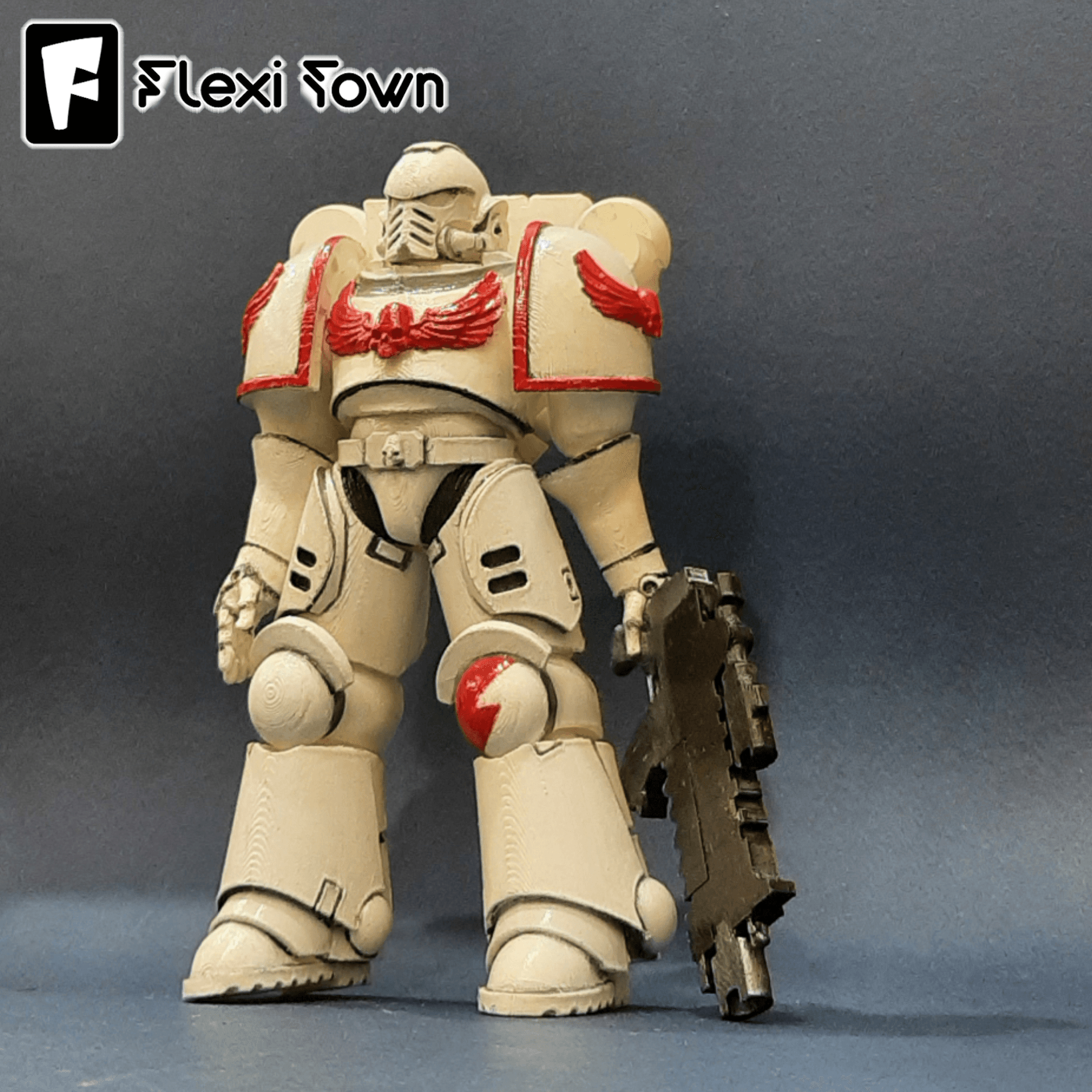 Flexi Print-in-Place Space Marine V1 3d model