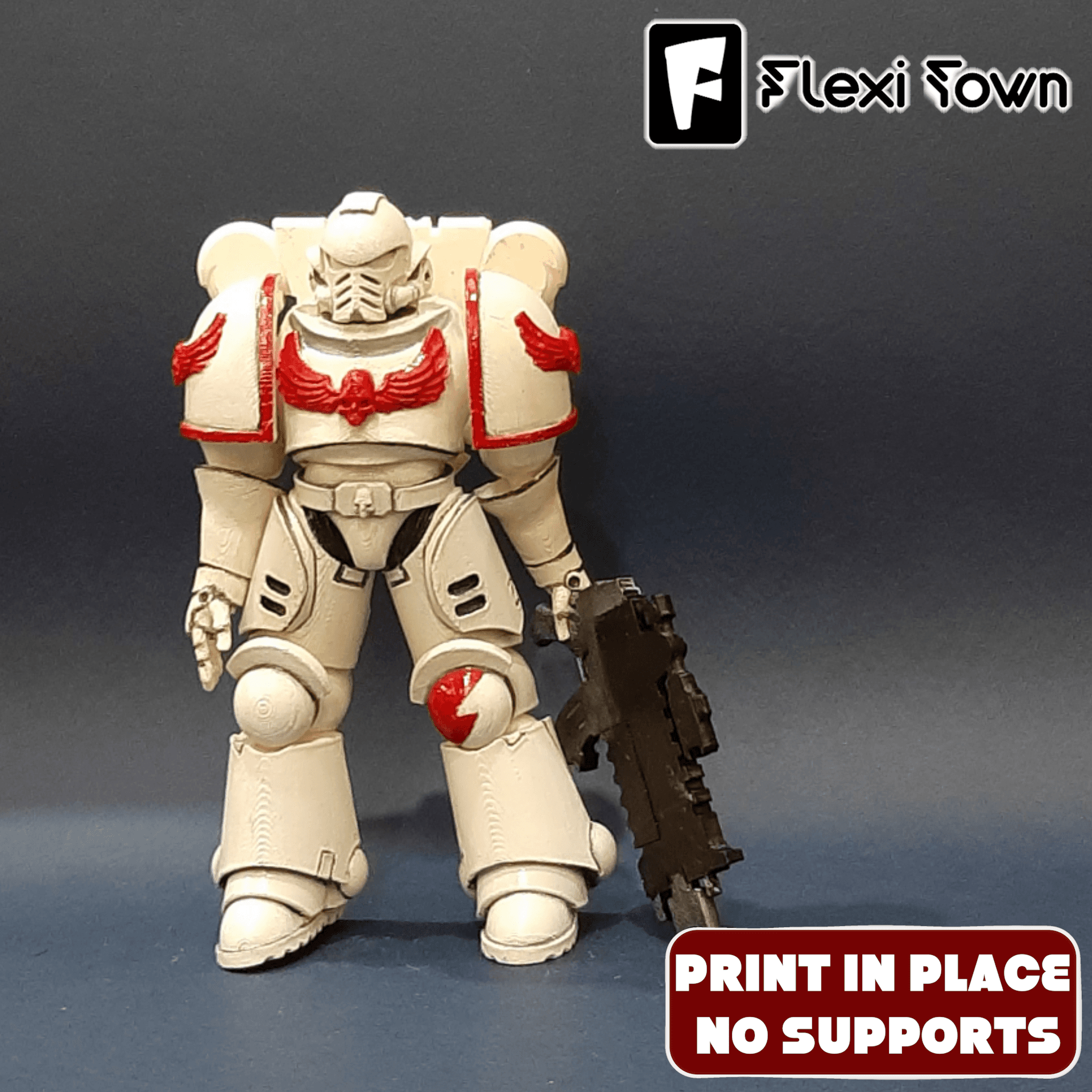 Flexi Print-in-Place Space Marine V1 3d model