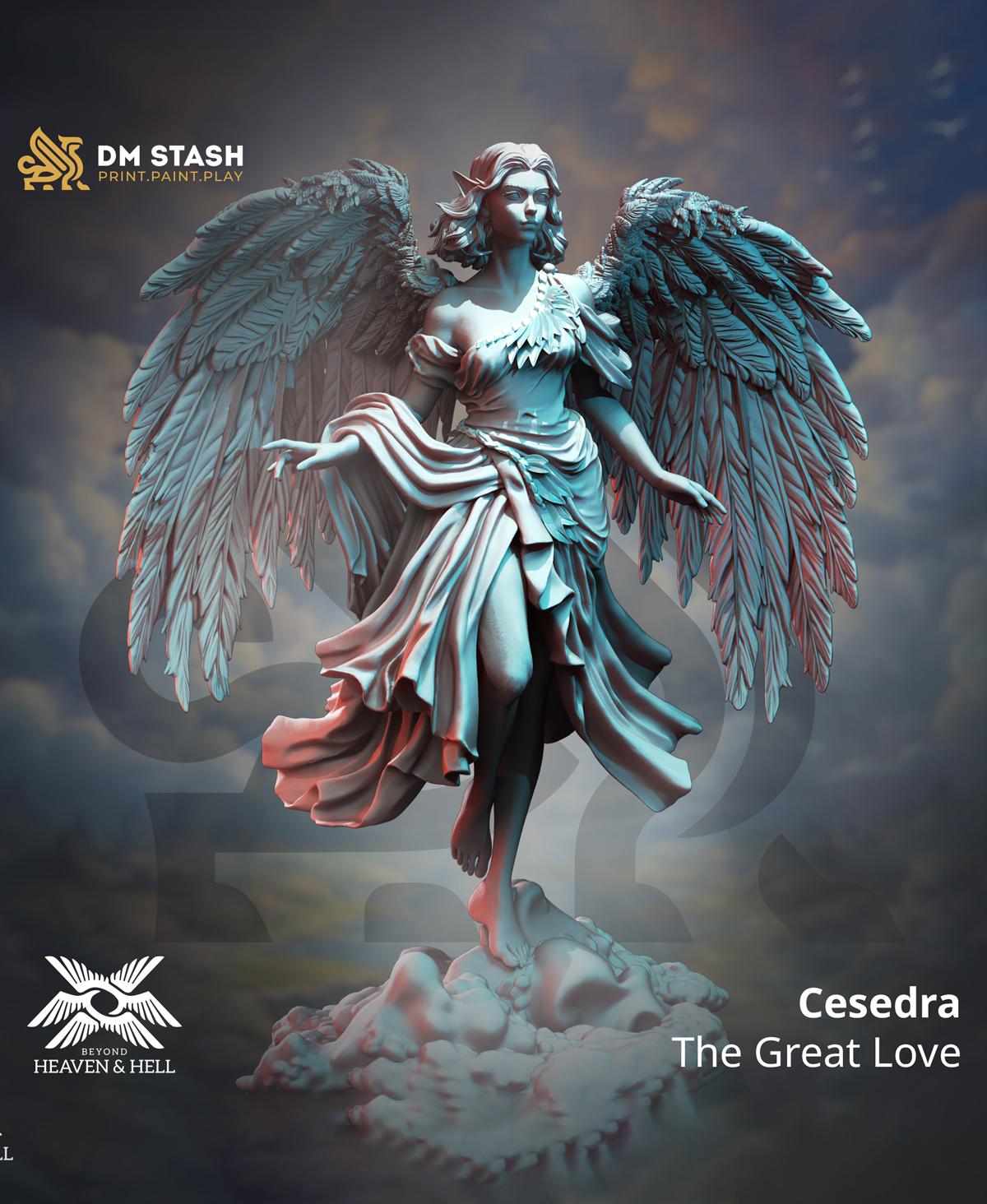 Cesedra 3d model