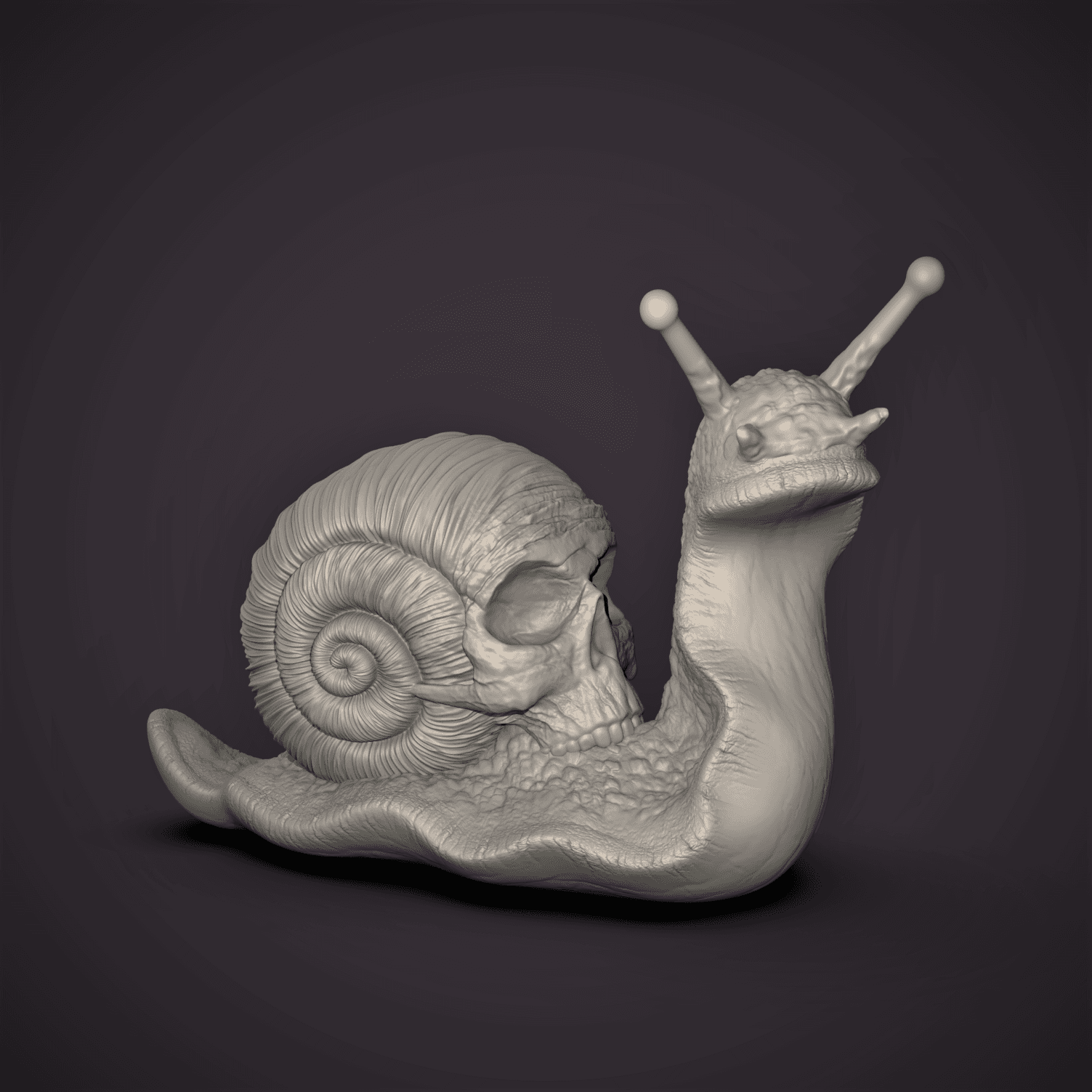 Skull Snail  3d model