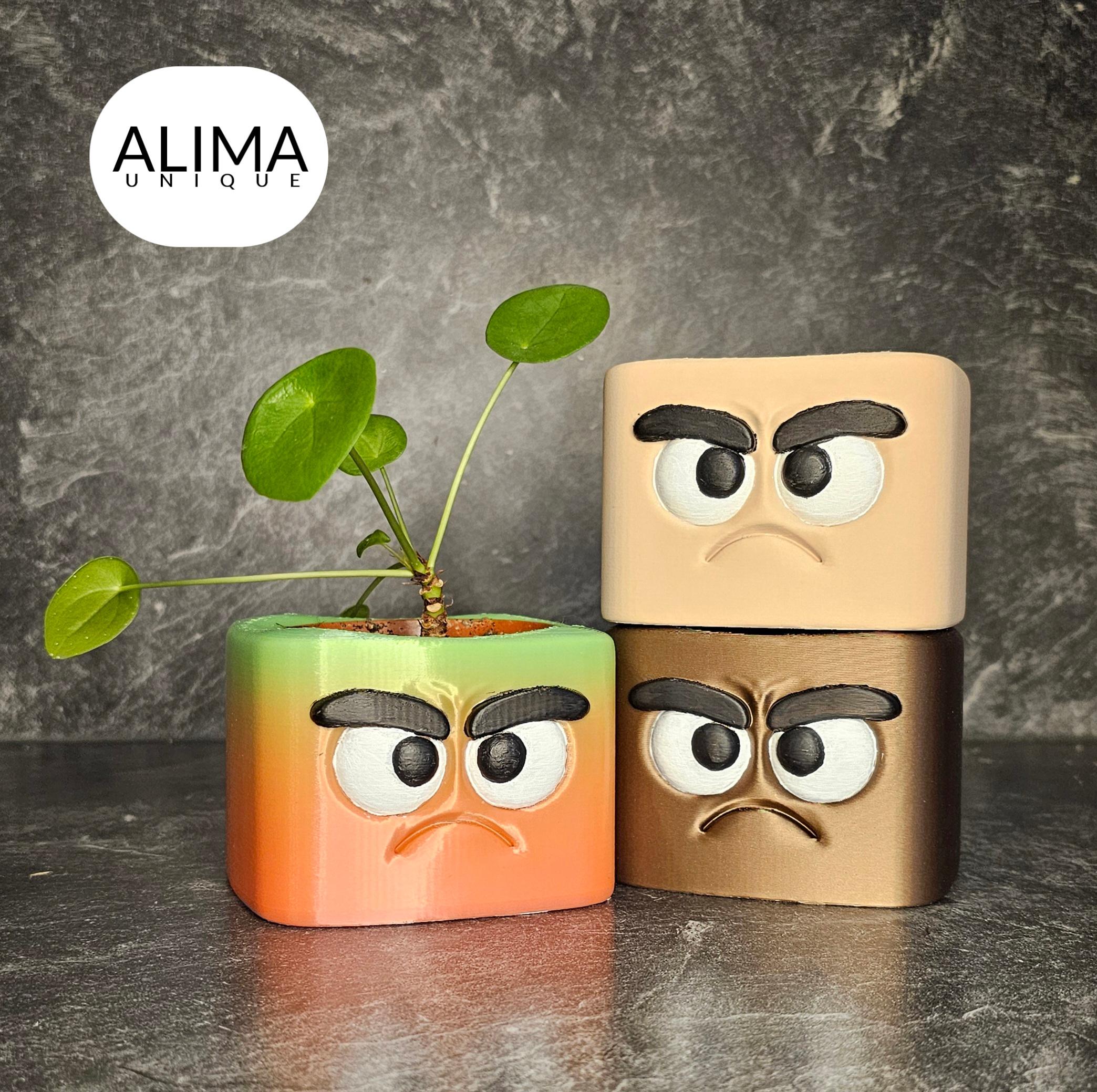 Grumpy buddy plant pot 3d model