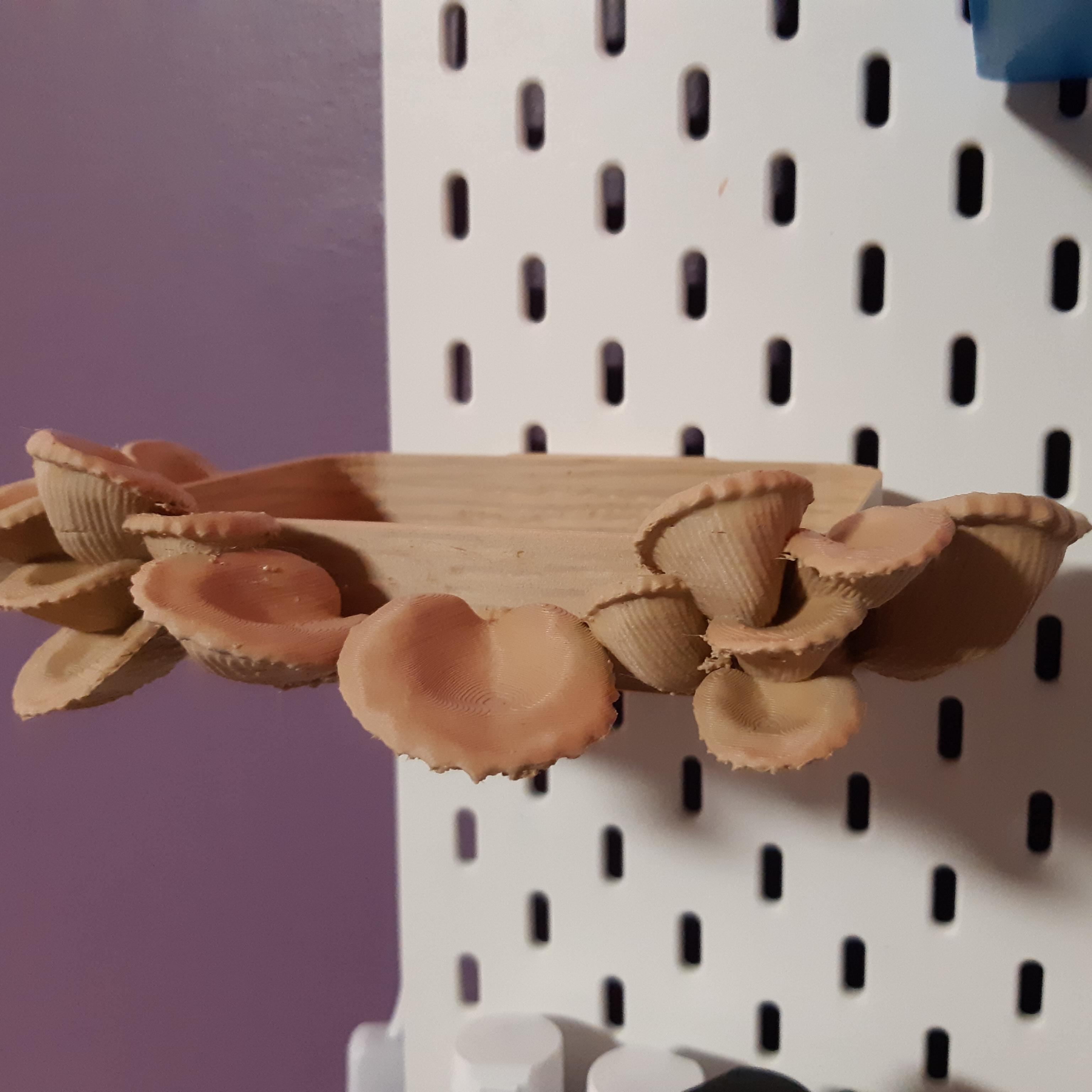 OYSTER MUSHROOM TRAY / SHELF FOR SKADIS, PEGBOARD OR WALL 3d model