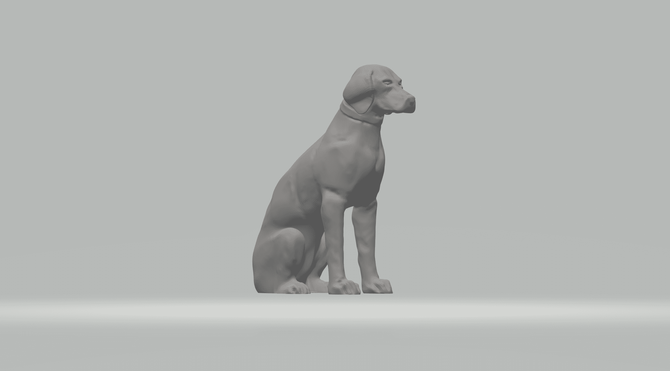 Labrador Retriever 3d model