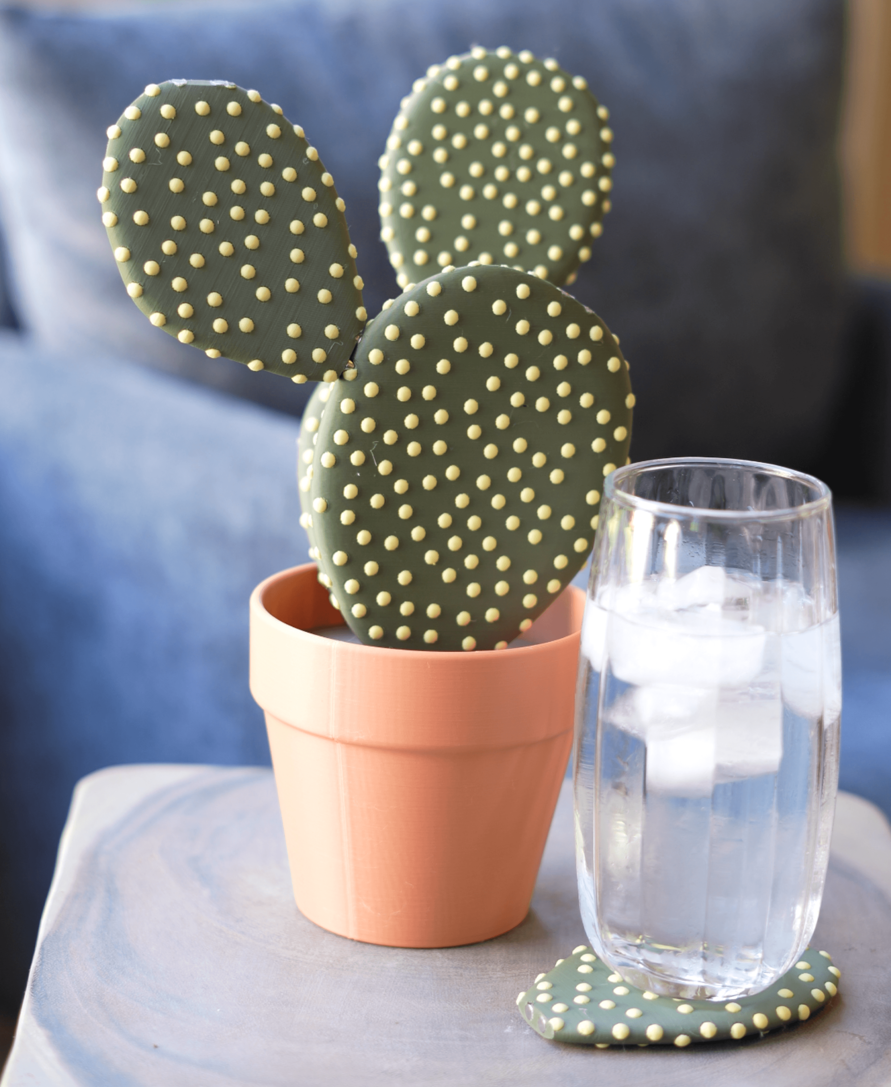 Cactus Coasters - Magnetic Cactus Coaster Set 3d model