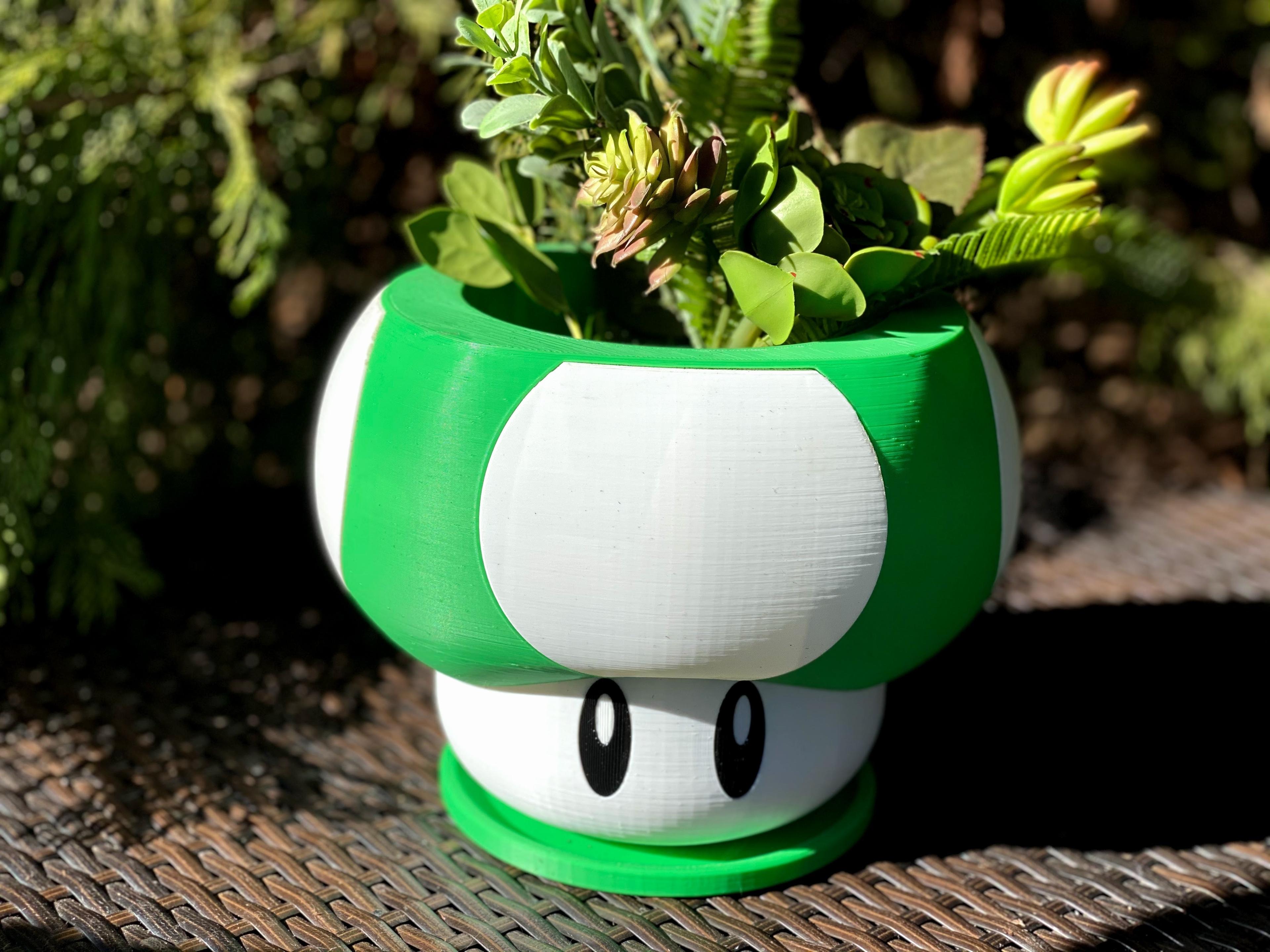 Mario Themed Mushroom Planter  3d model