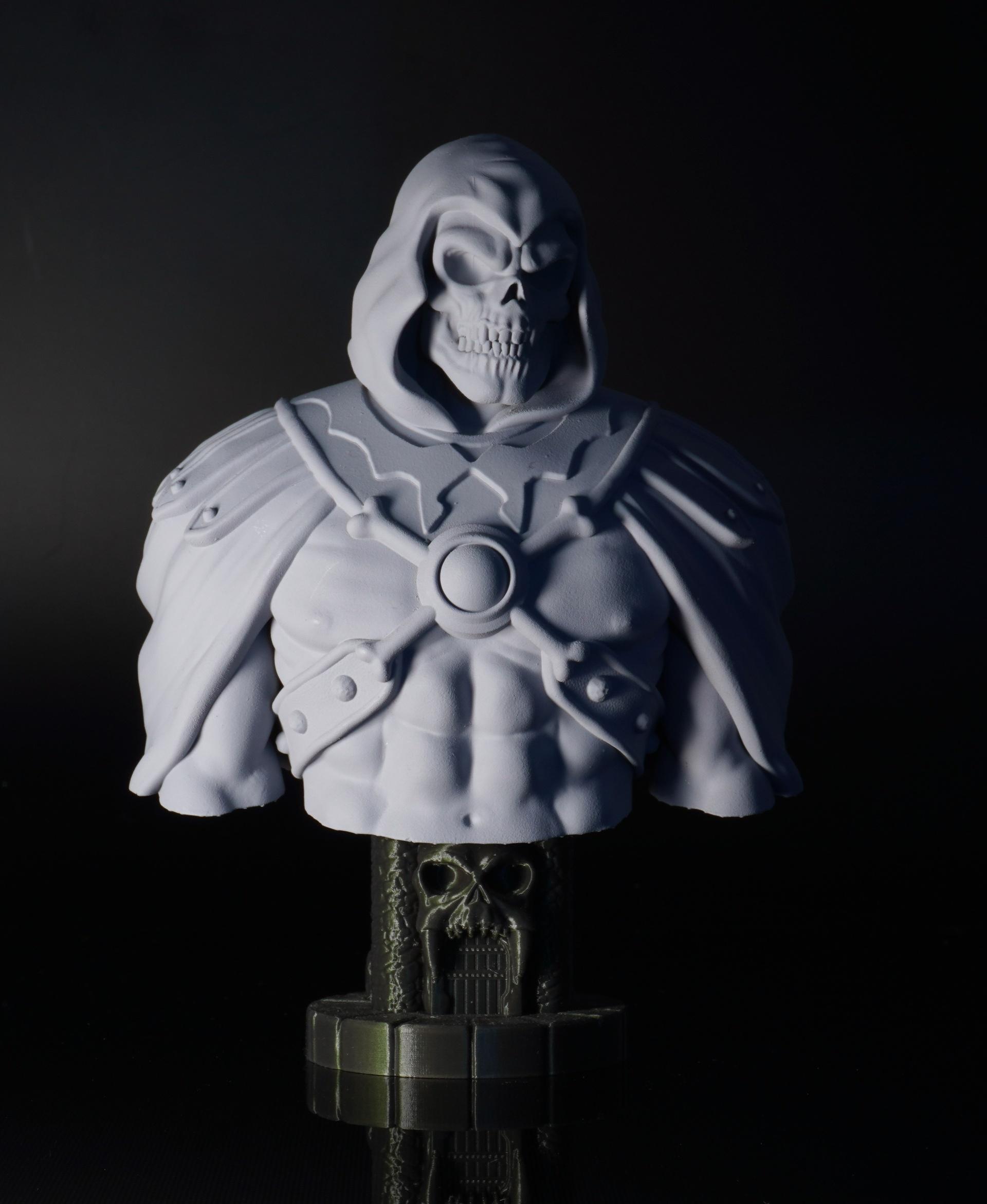 Skeletor Bust (Pre 3d model