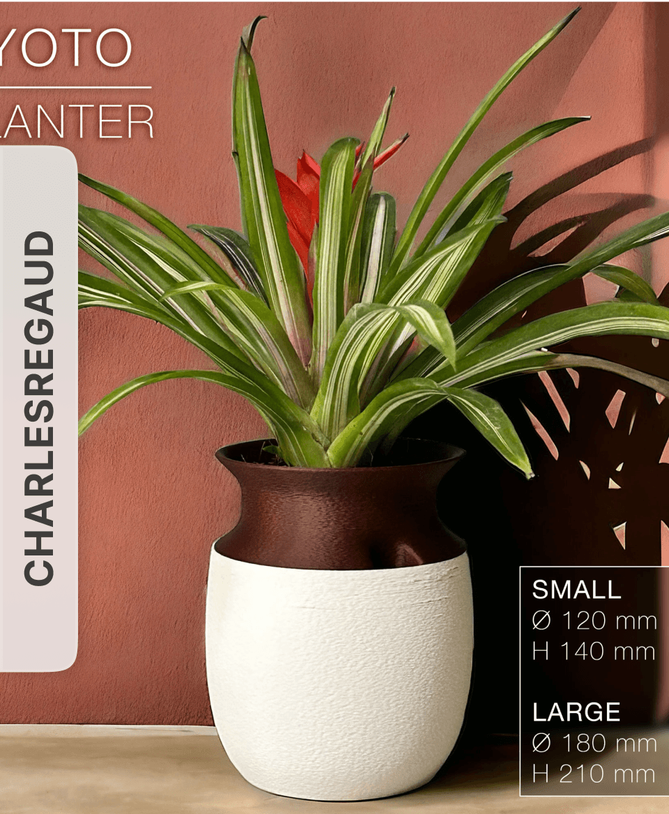  KYOTO  |  Self-Watering Planter by CharlesRegaud 3d model