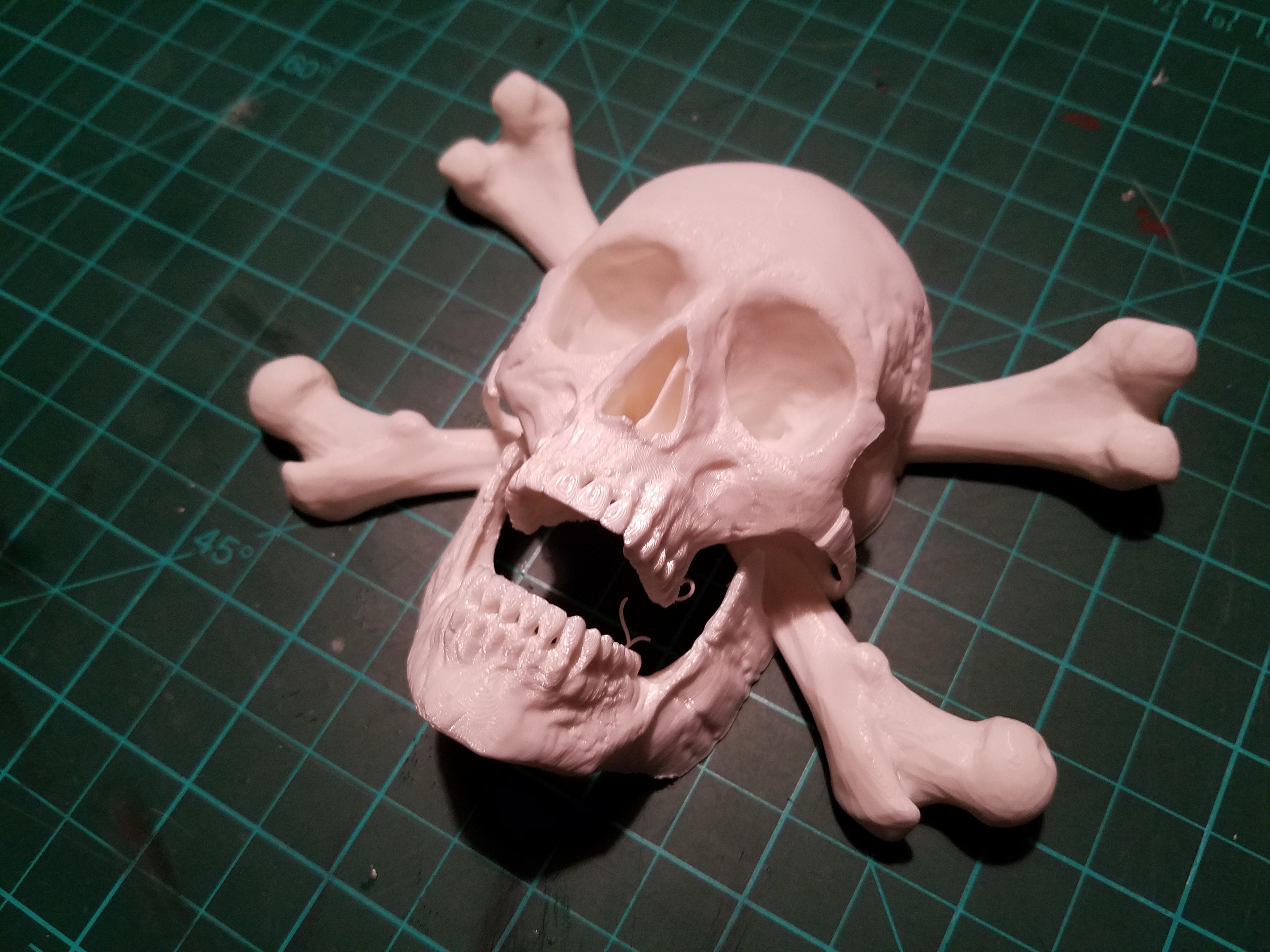 Pirate skull - Scan from real bones and skull 3d model