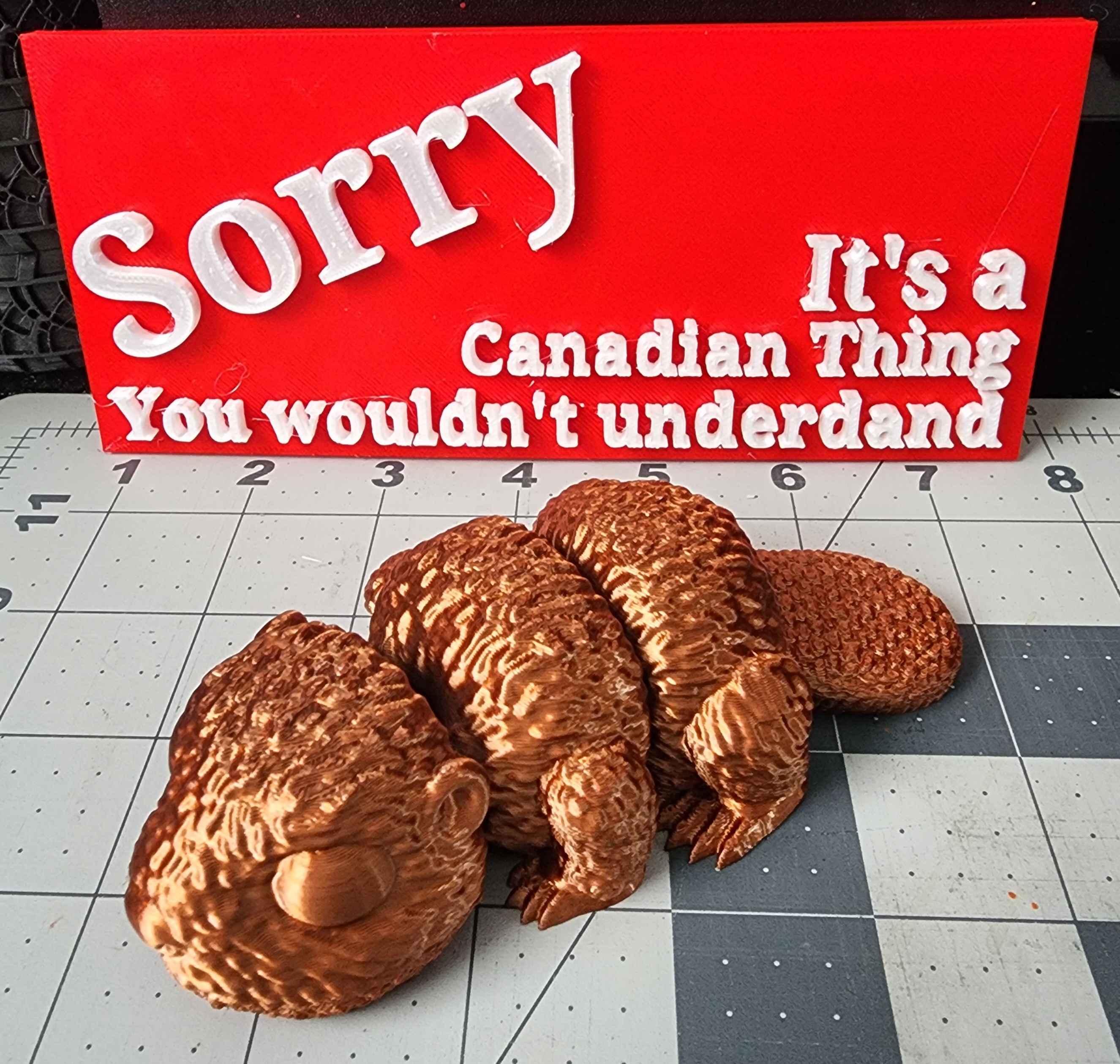 It's a Canadian Thing Sign 3d model