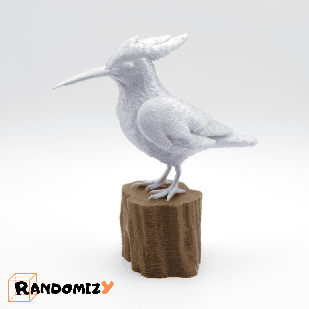 Hoopoe 3d model