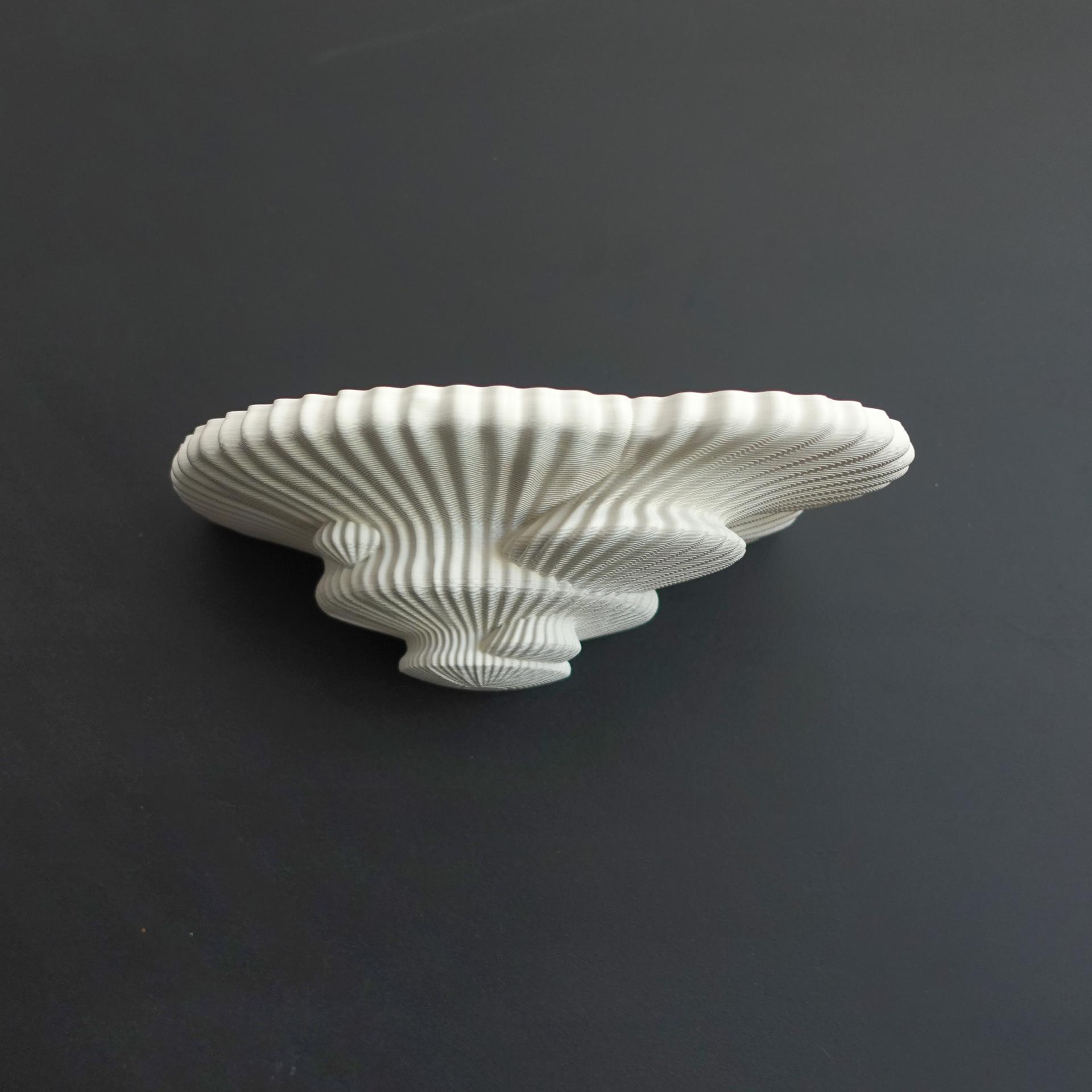 Mushroom shelf “Tinder” 3d model