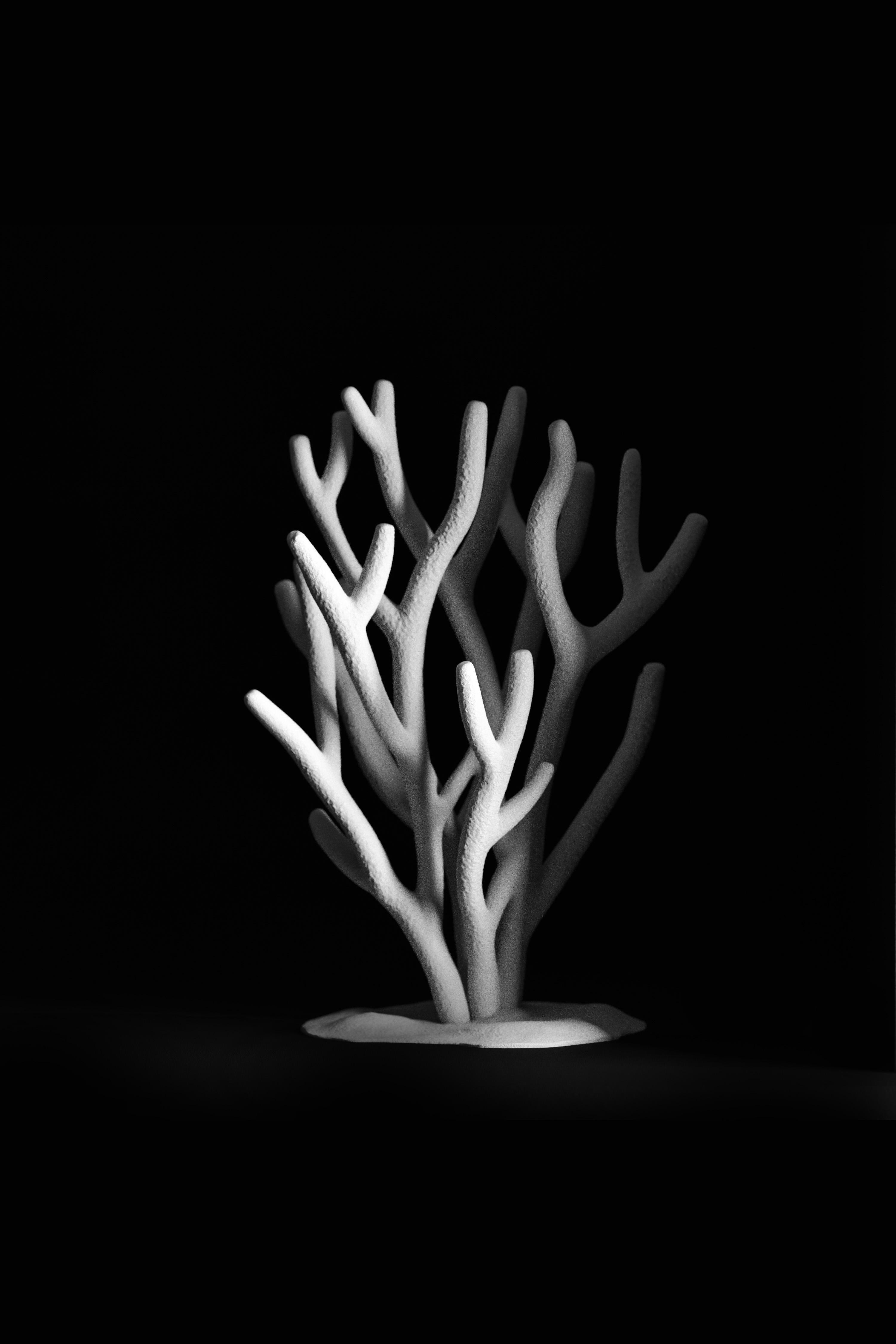 Coral Jewelry Stand 3d model